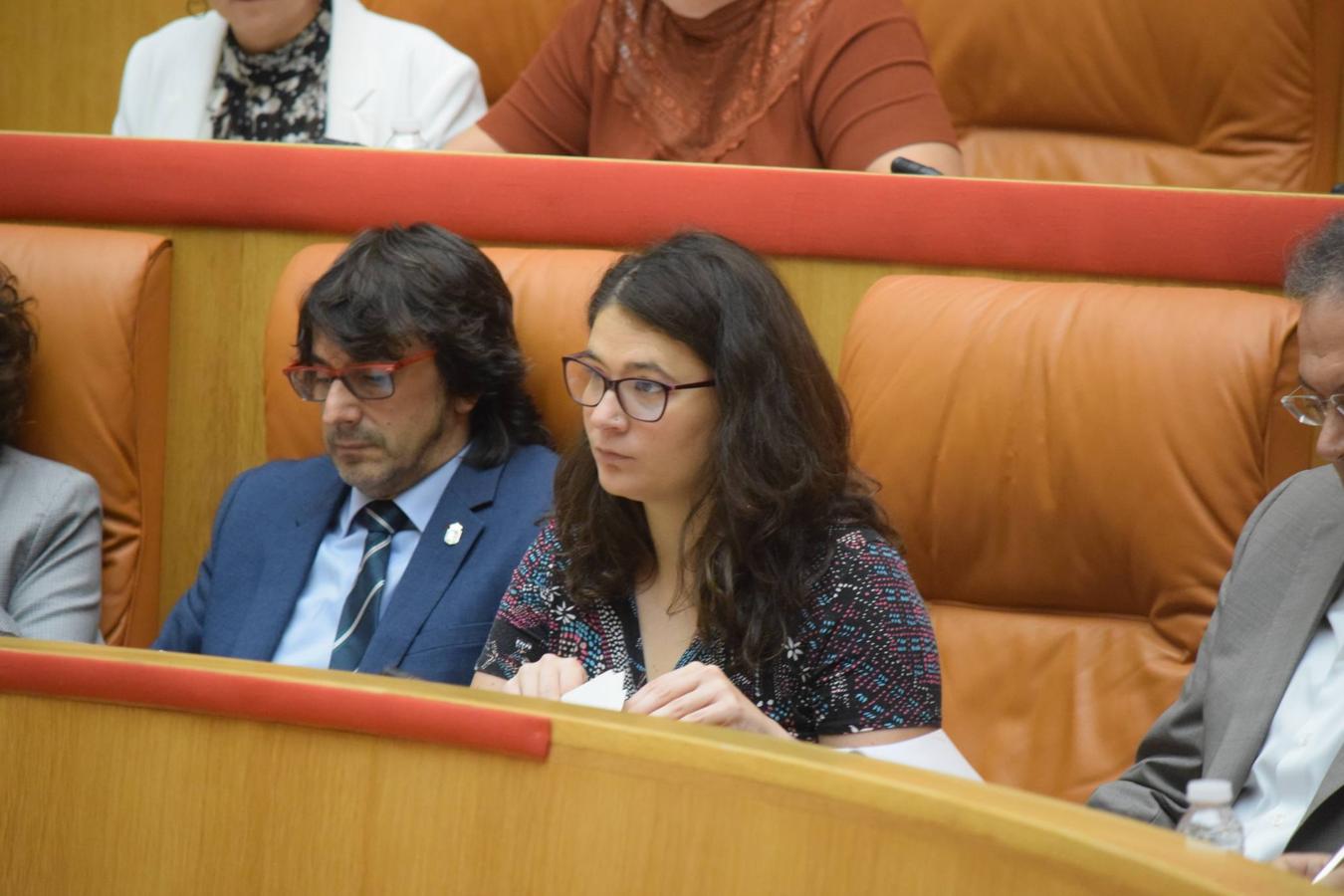 Sesión plenaria en el Parlamento de La Rioja. 