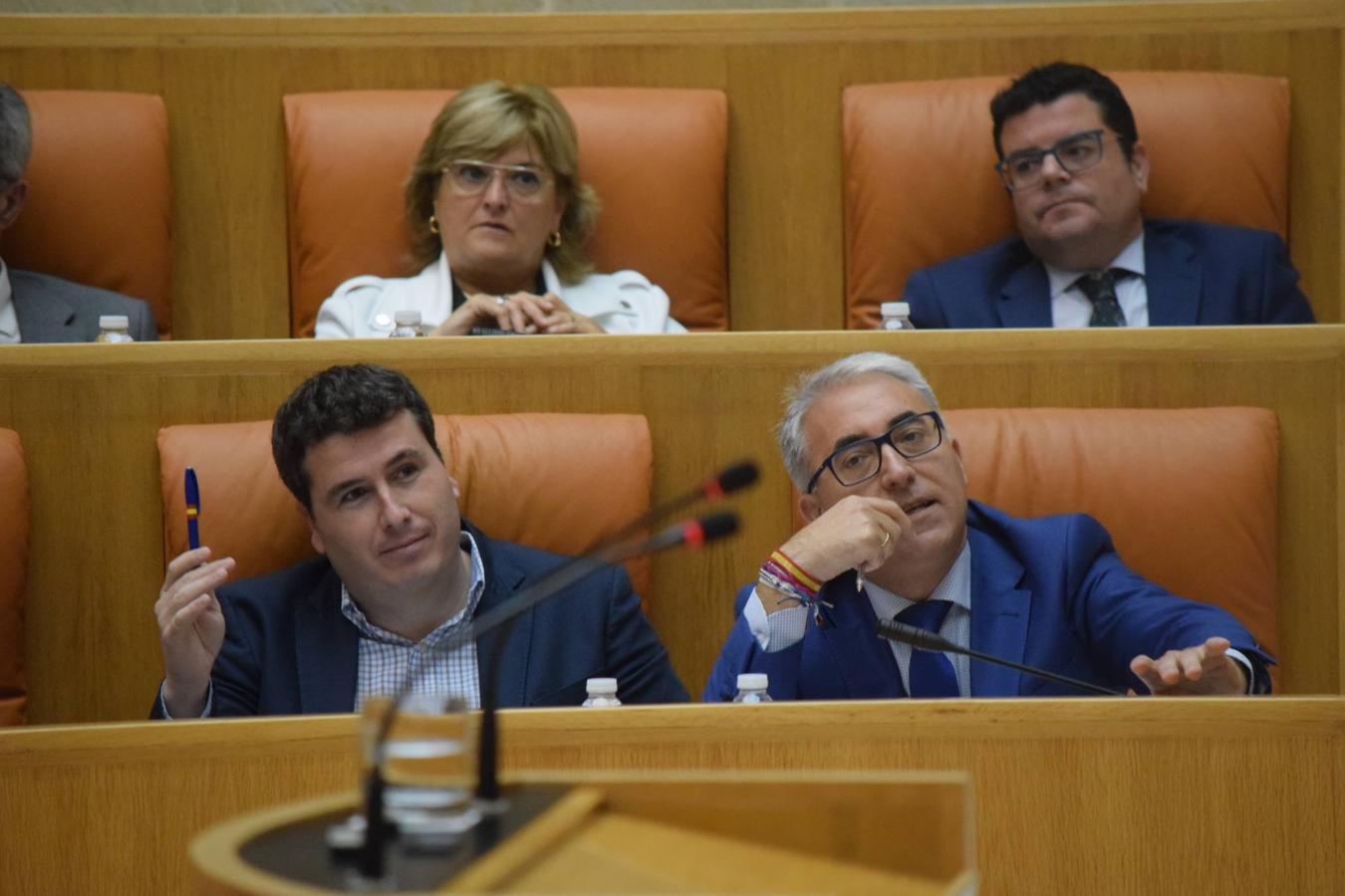 Sesión plenaria en el Parlamento de La Rioja. 