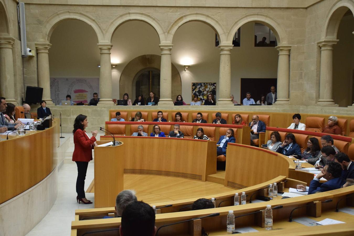 Sesión plenaria en el Parlamento de La Rioja. 