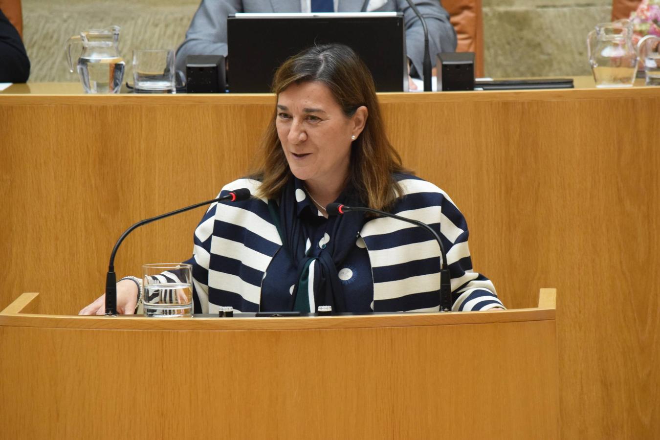 Sesión plenaria en el Parlamento de La Rioja. 