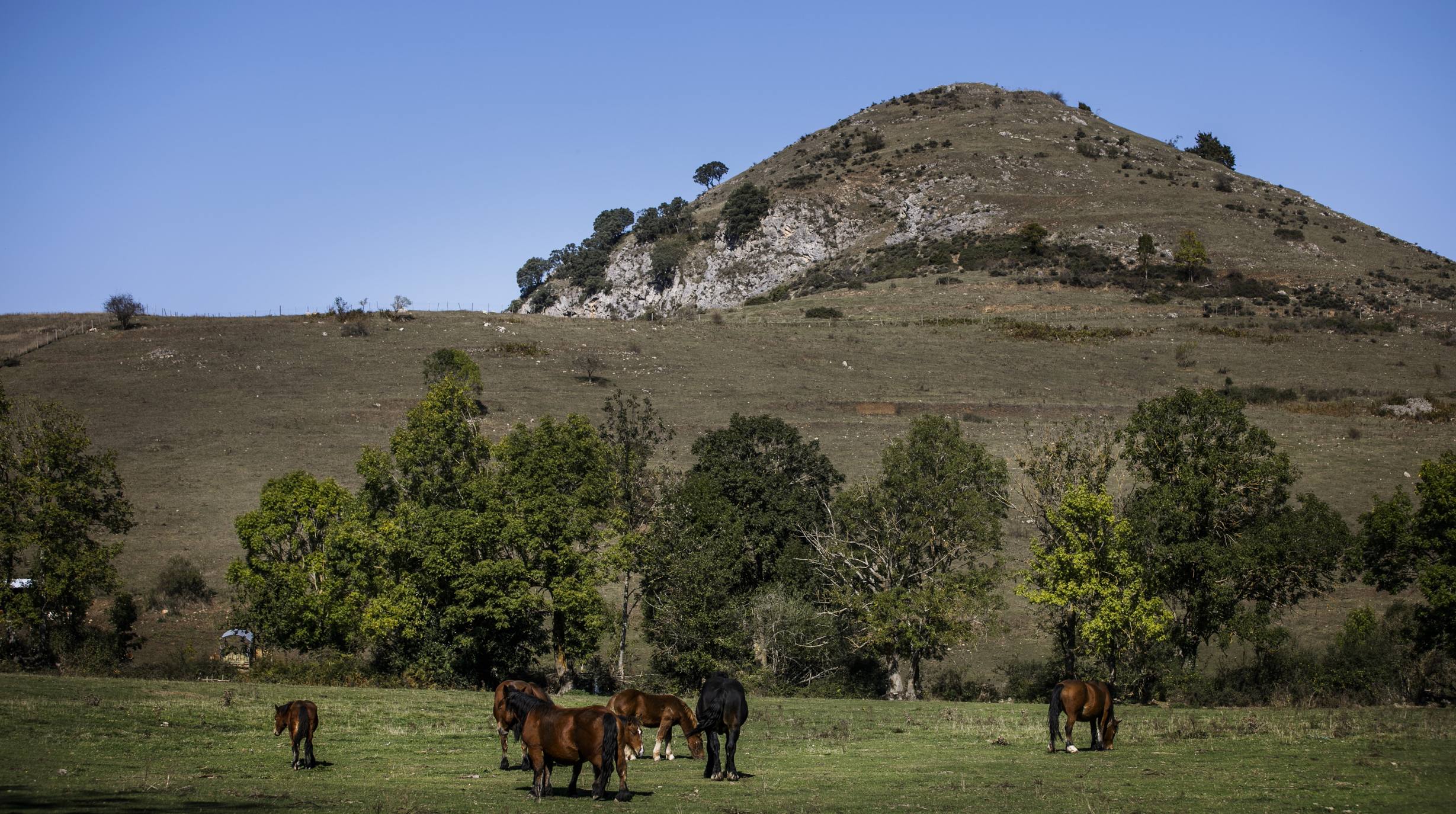 El Pazuengos de El Cid Campeador