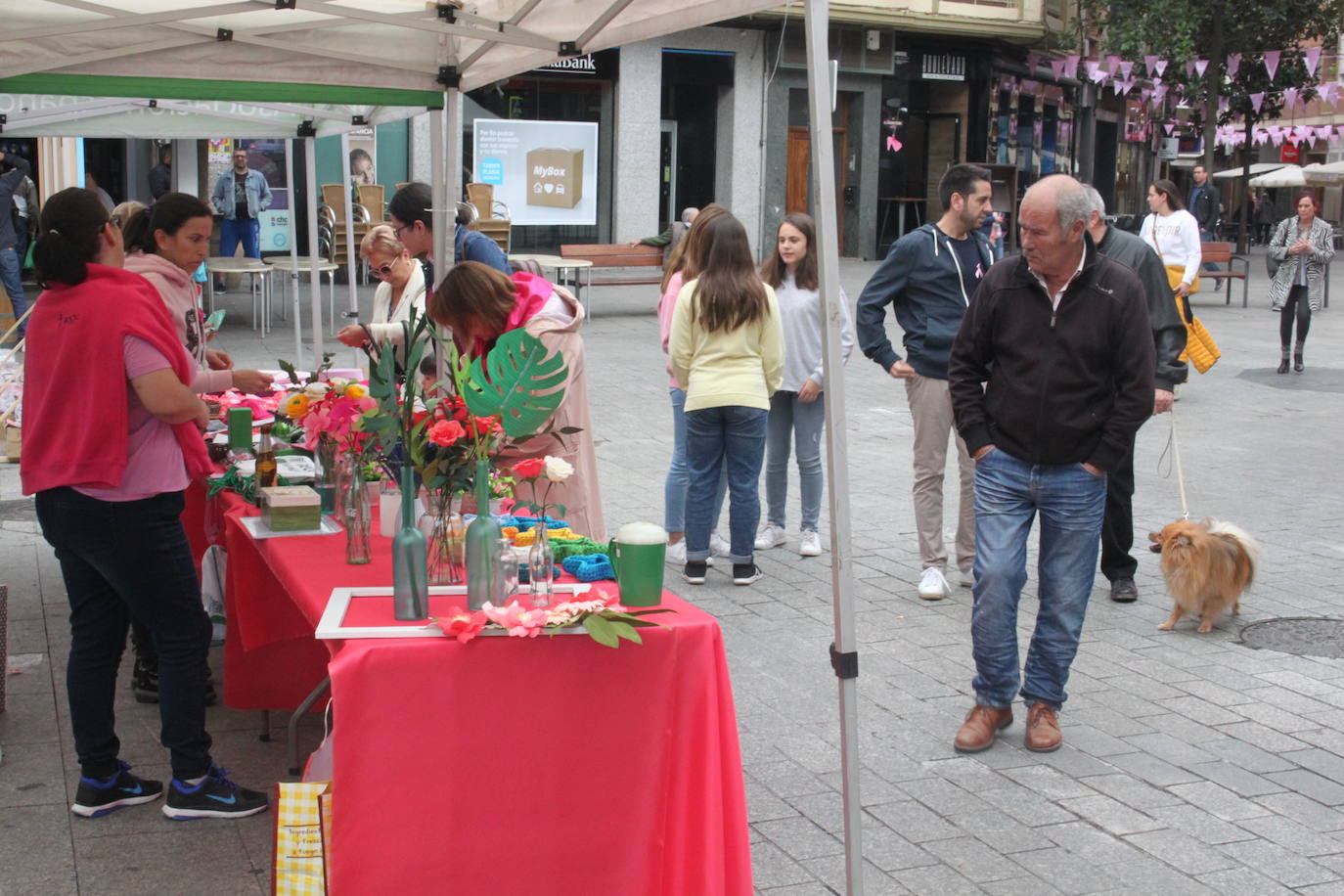 Arnedo se ha teñido de rosa en una mañana que ha reunido a público de todas las edades