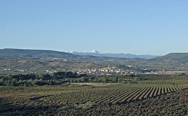 Imagen de la cámara web del Gobierno de La Rioja en Navarrete, con el San Lorenzo al fondo 