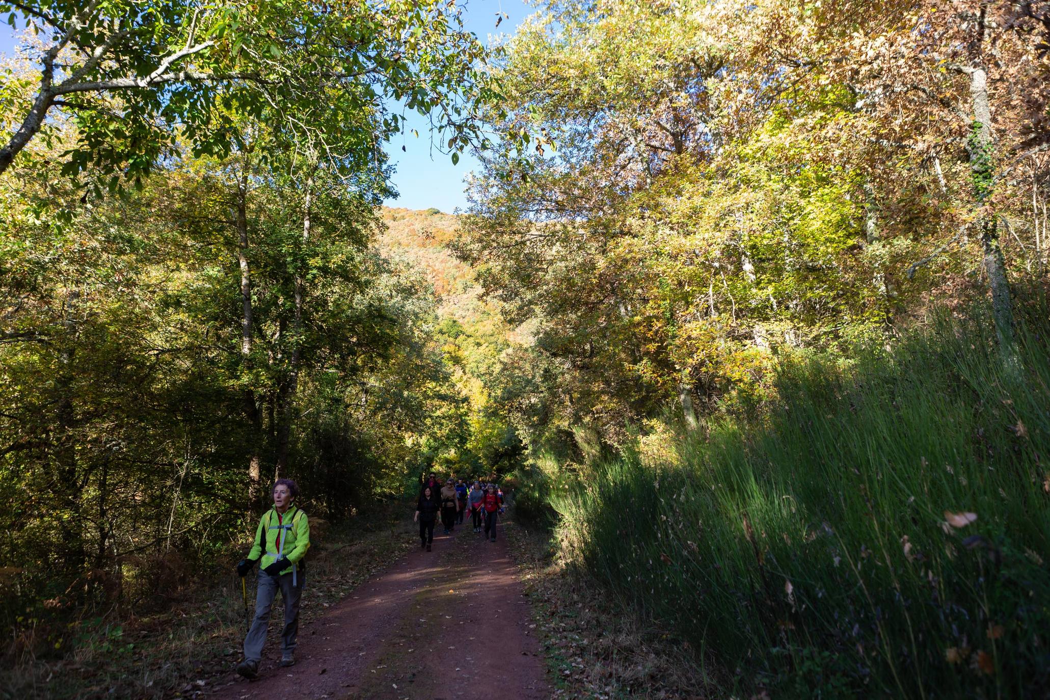 La marcha otoñal ha reunido a 450 senderistas 