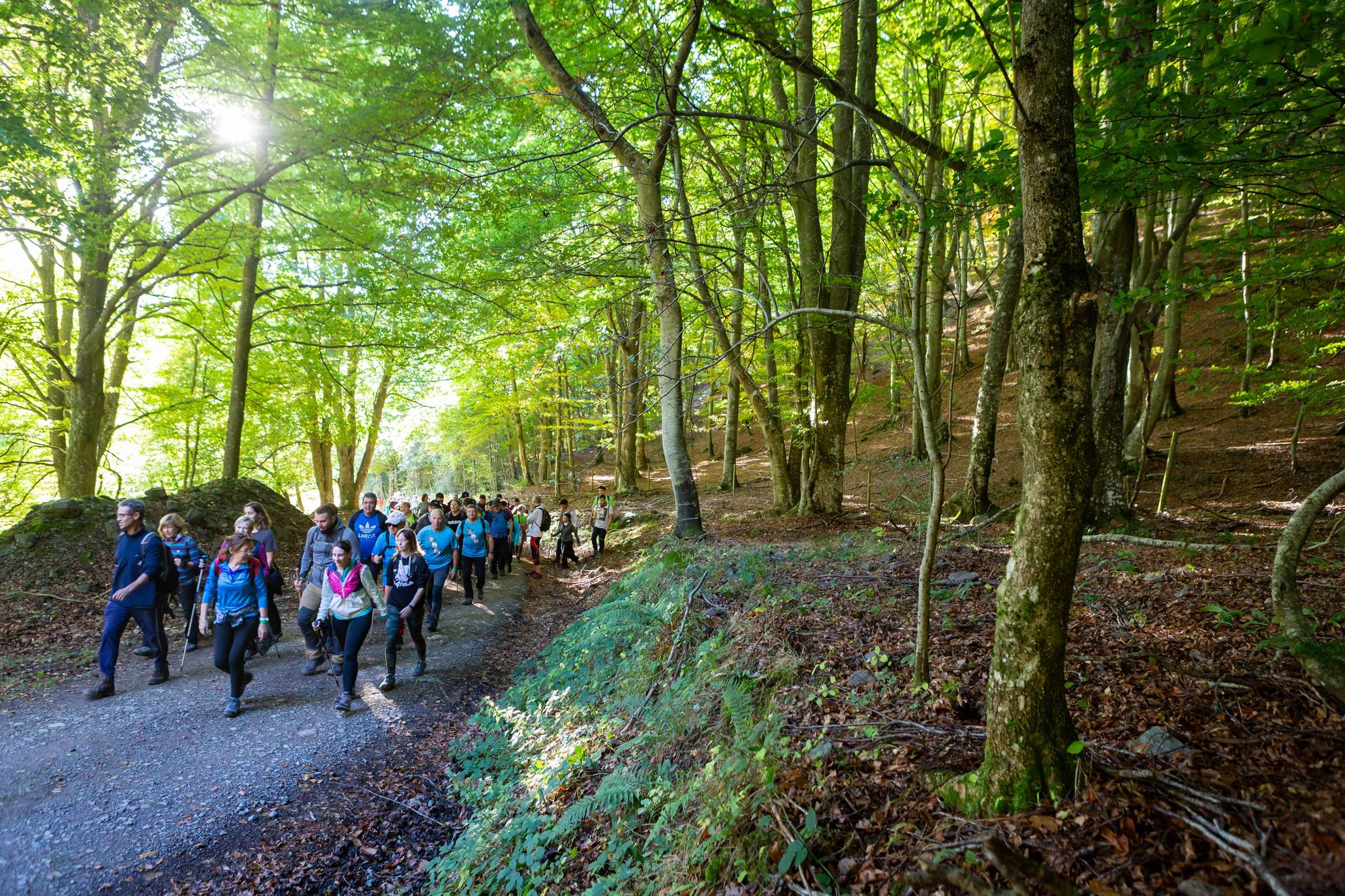 La marcha otoñal ha reunido a 450 senderistas 
