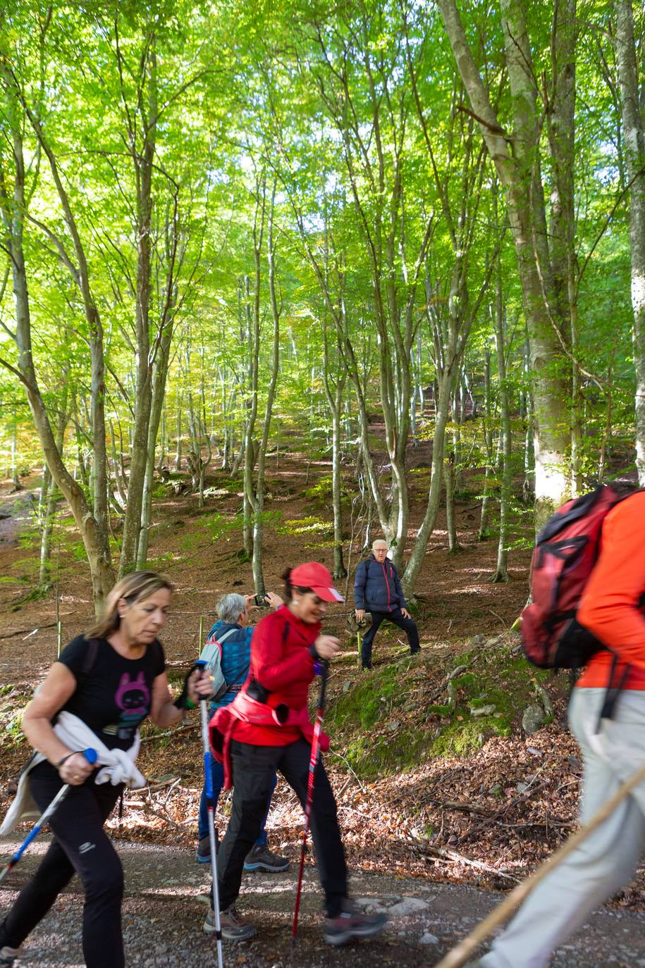 La marcha otoñal ha reunido a 450 senderistas 