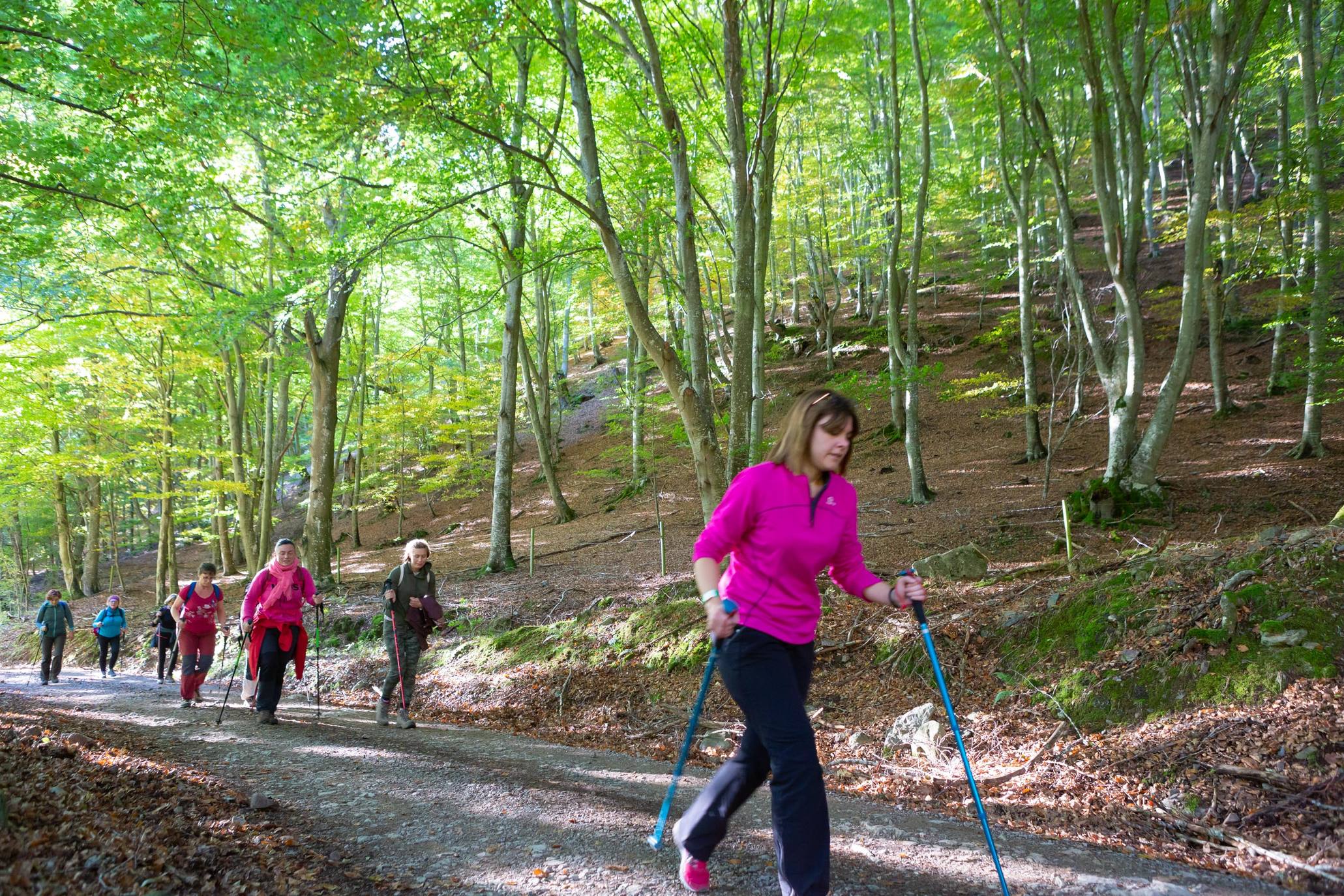 La marcha otoñal ha reunido a 450 senderistas 