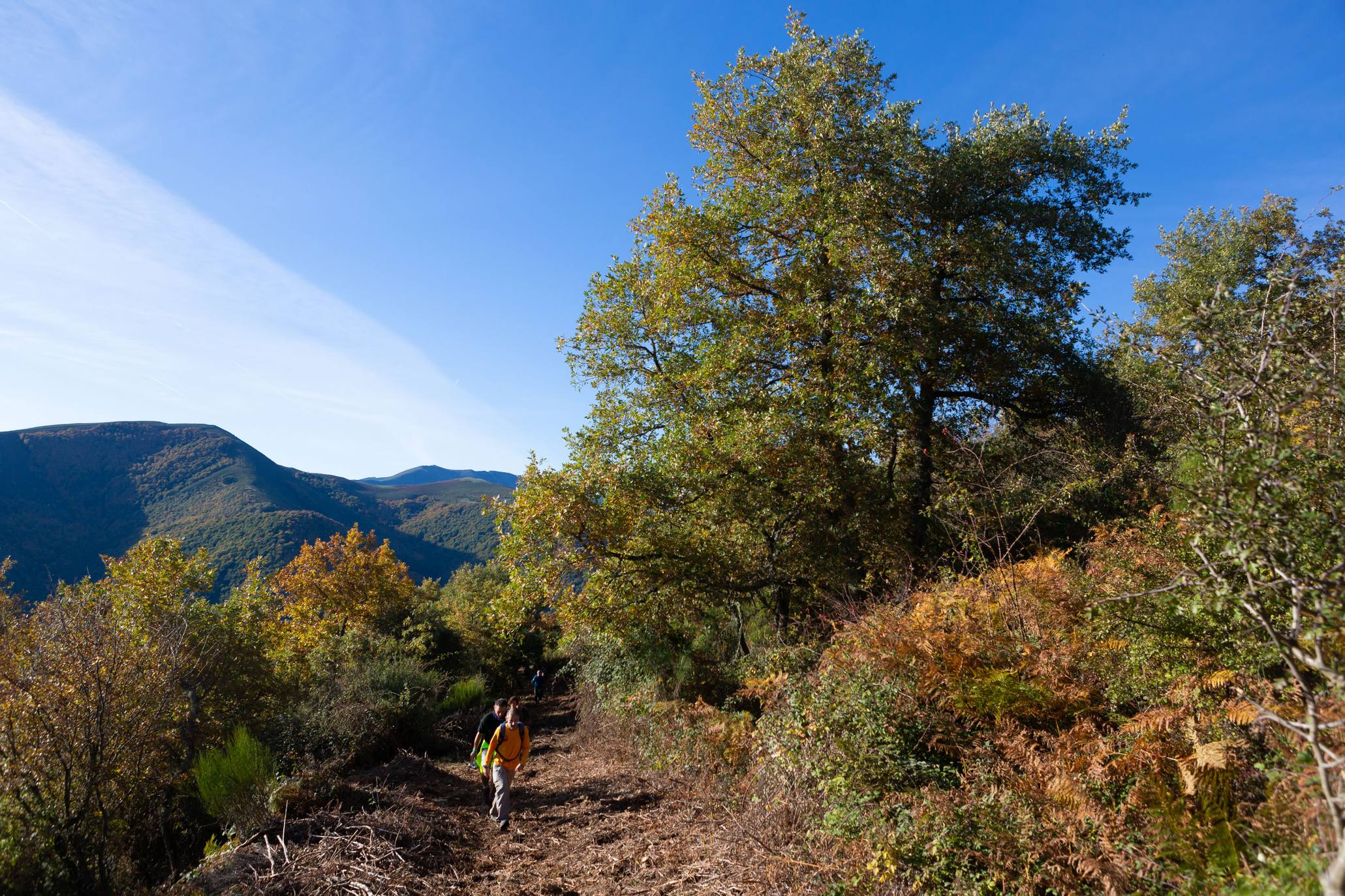 La marcha otoñal ha reunido a 450 senderistas 