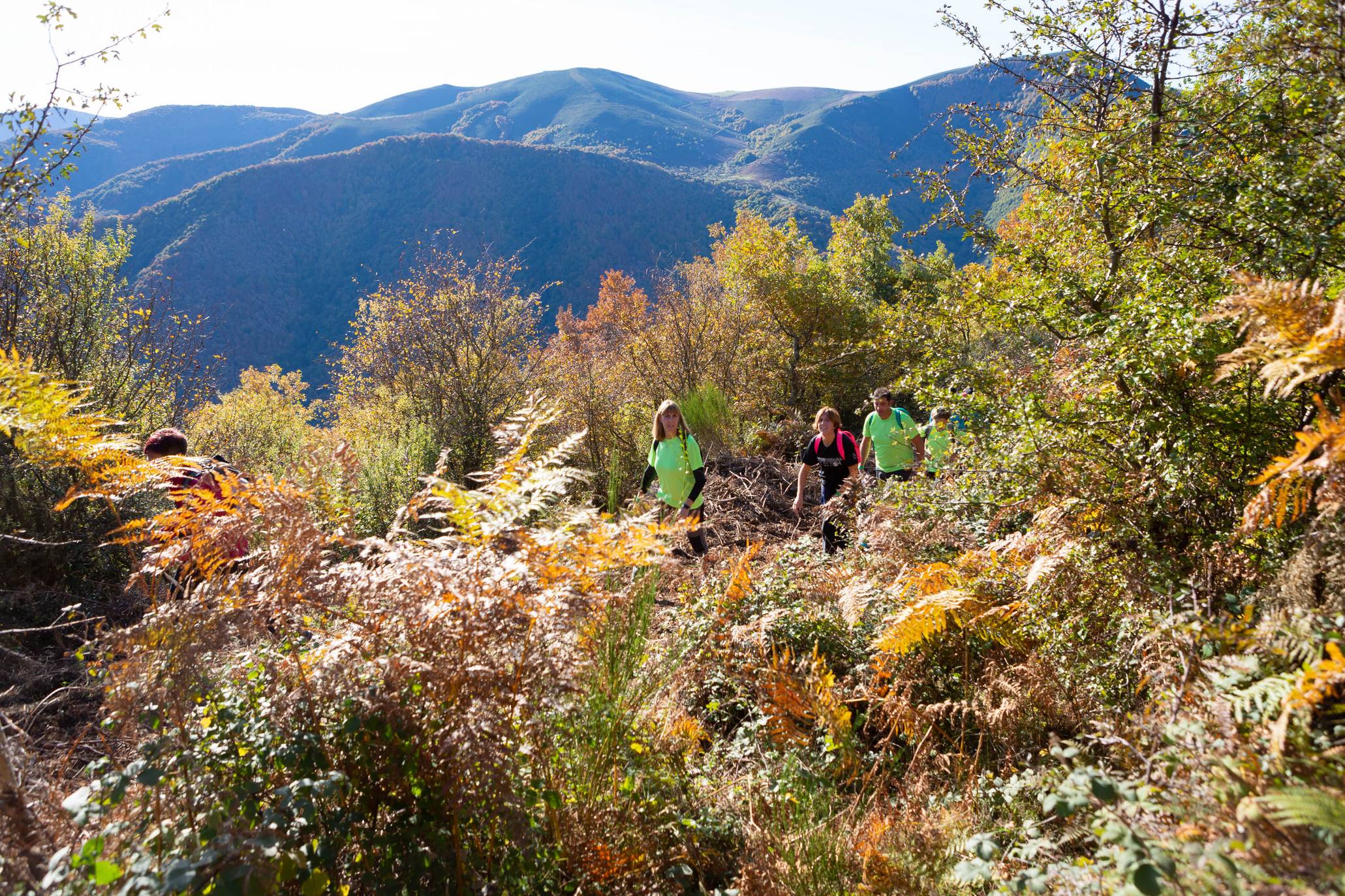 La marcha otoñal ha reunido a 450 senderistas 