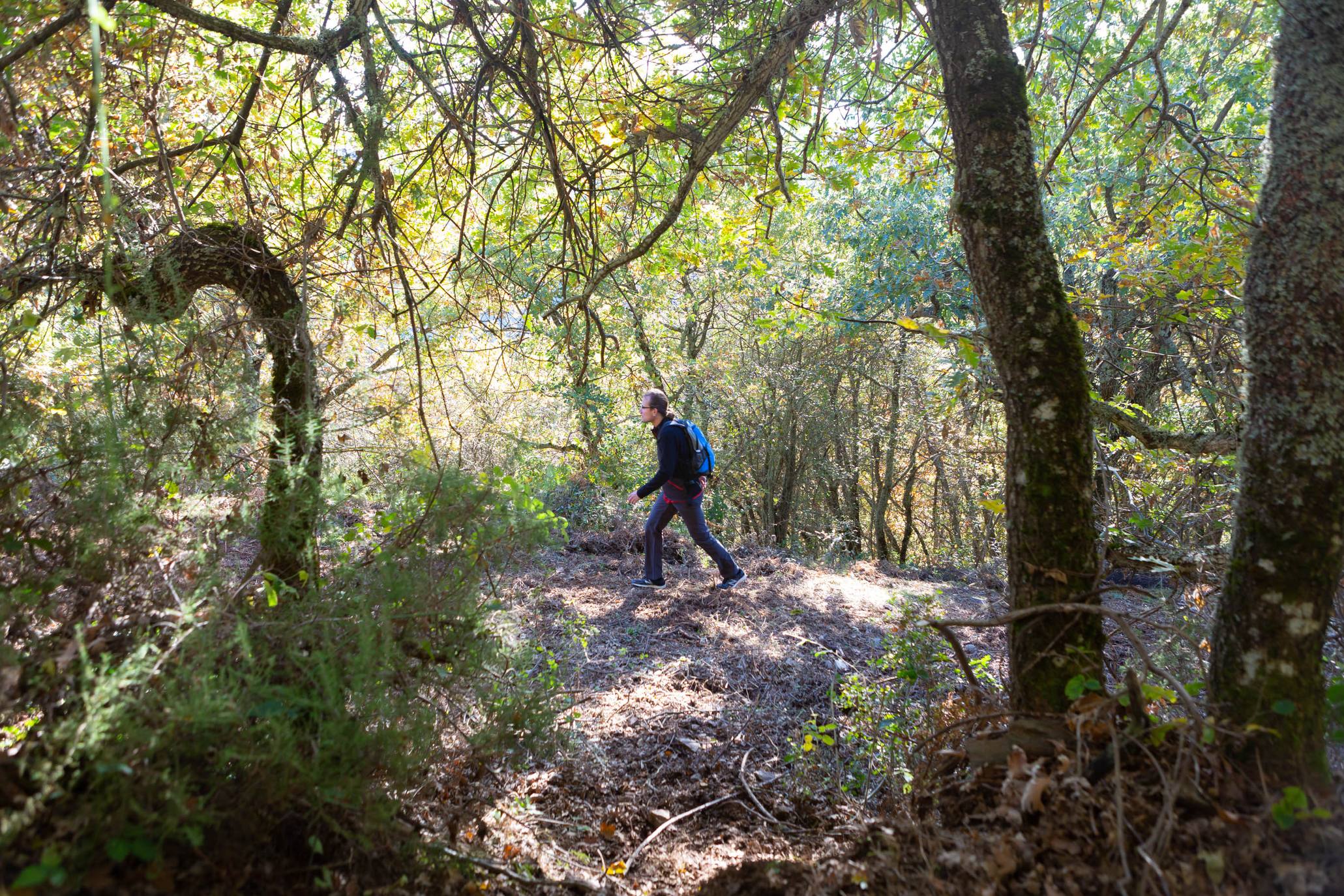 La marcha otoñal ha reunido a 450 senderistas 