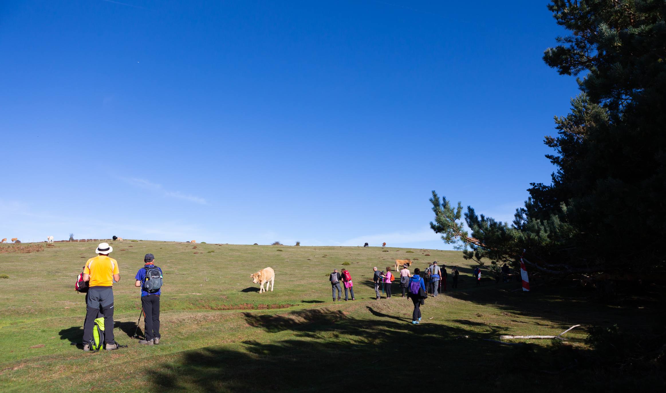 La marcha otoñal ha reunido a 450 senderistas 