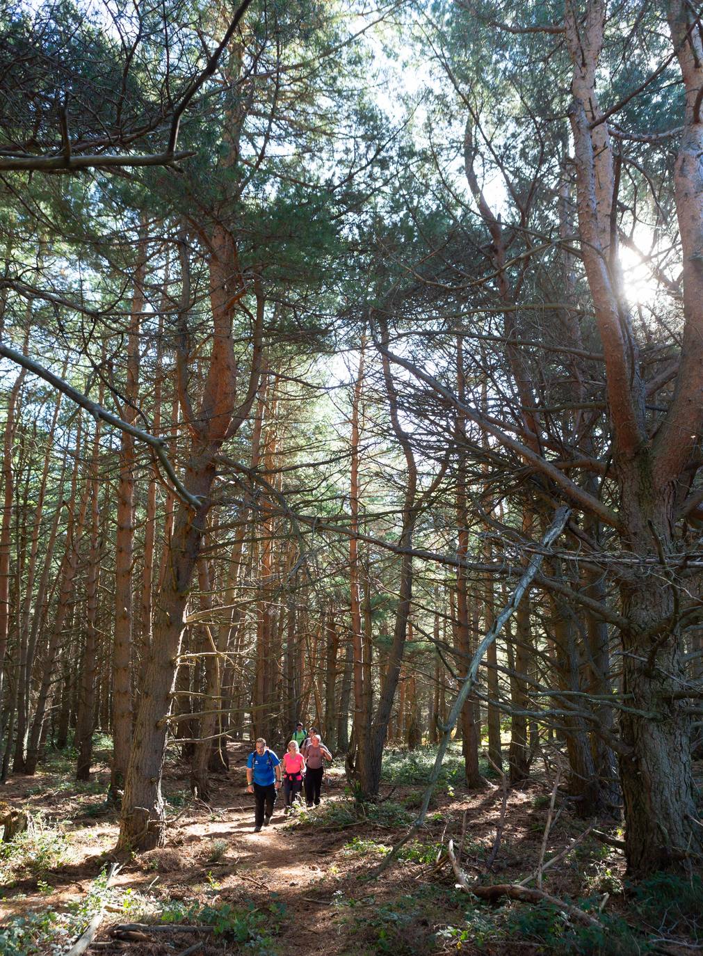 La marcha otoñal ha reunido a 450 senderistas 