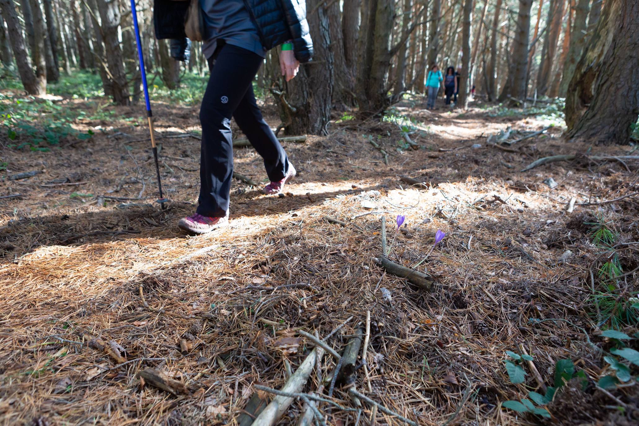 La marcha otoñal ha reunido a 450 senderistas 