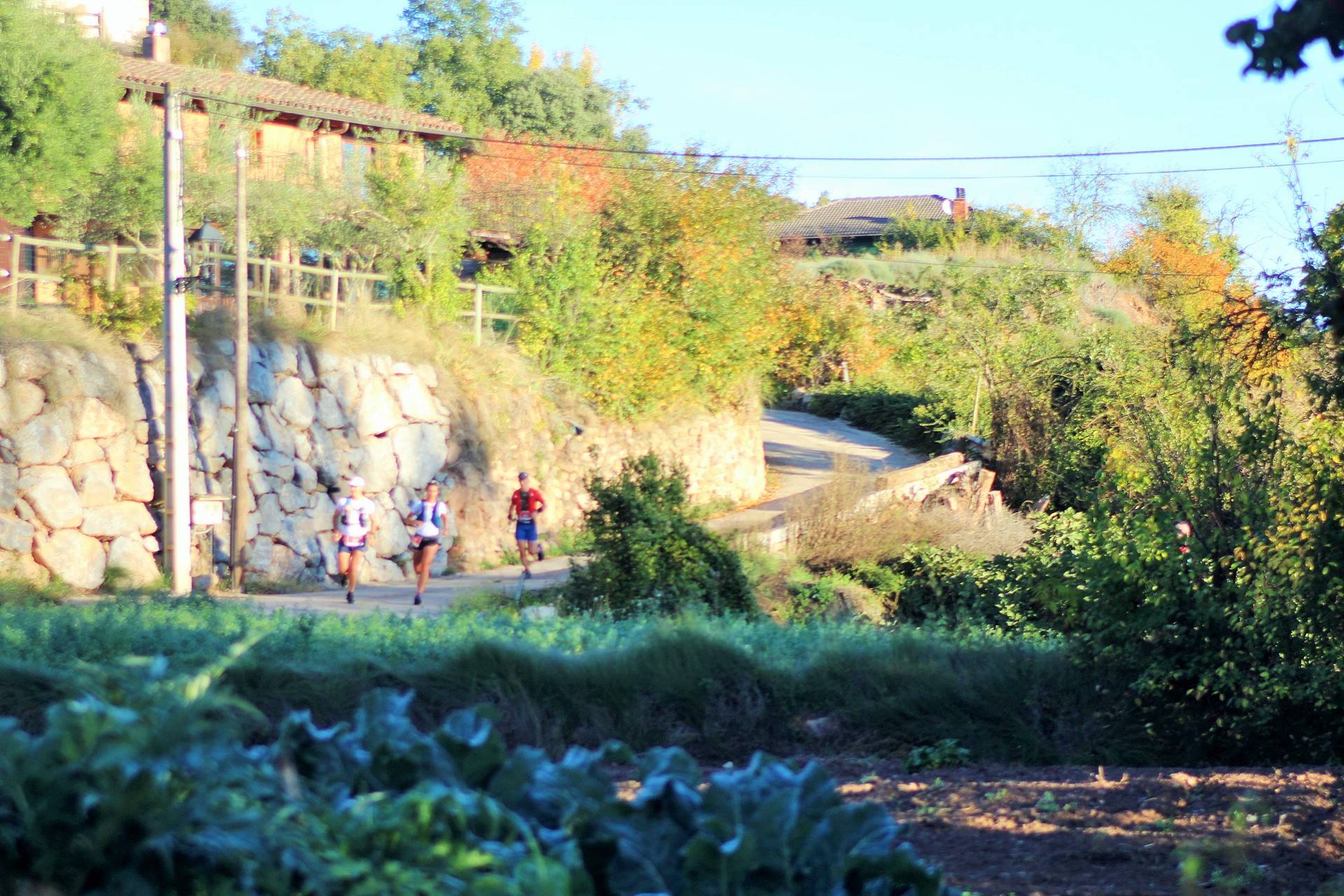 La carrera de montaña por Moncalvillo ha reunido a cerca de 400 inscritos