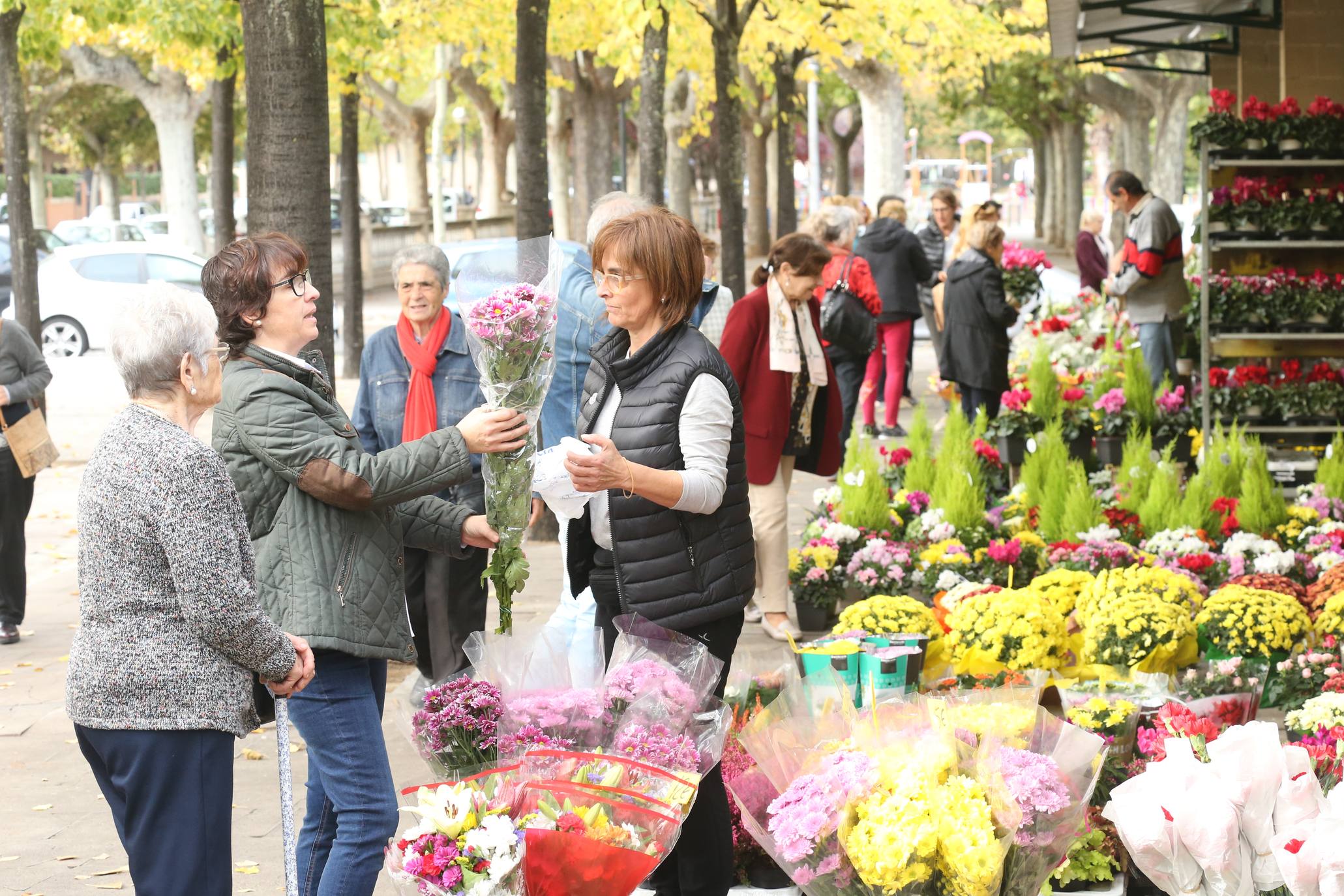 La plaza Joaquín Elizalde acoge, como cada año, el tradicional mercado de las flores del Día de Todos los Santos.