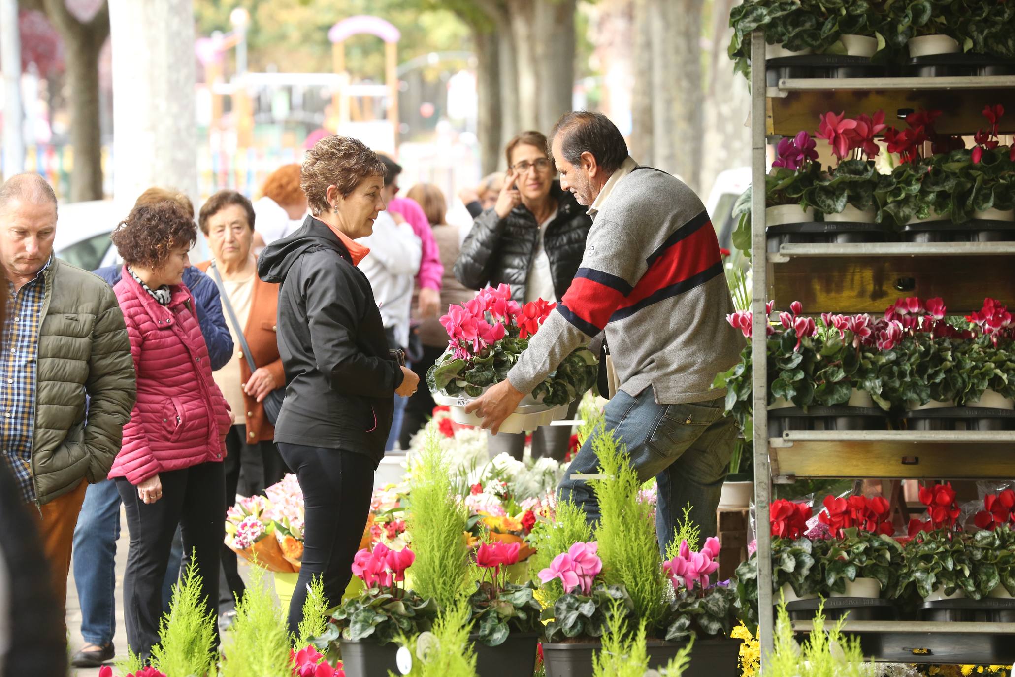 La plaza Joaquín Elizalde acoge, como cada año, el tradicional mercado de las flores del Día de Todos los Santos.