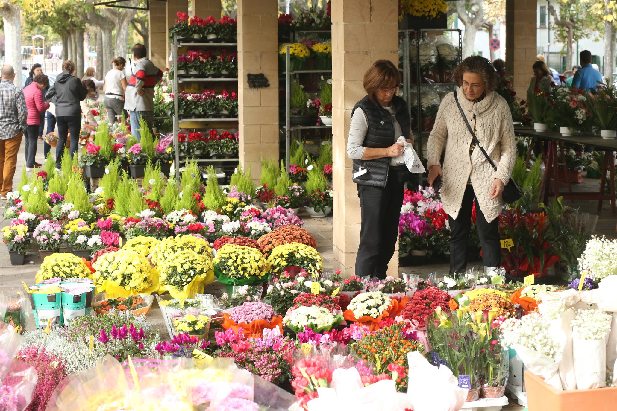 La plaza Joaquín Elizalde acoge, como cada año, el tradicional mercado de las flores del Día de Todos los Santos.