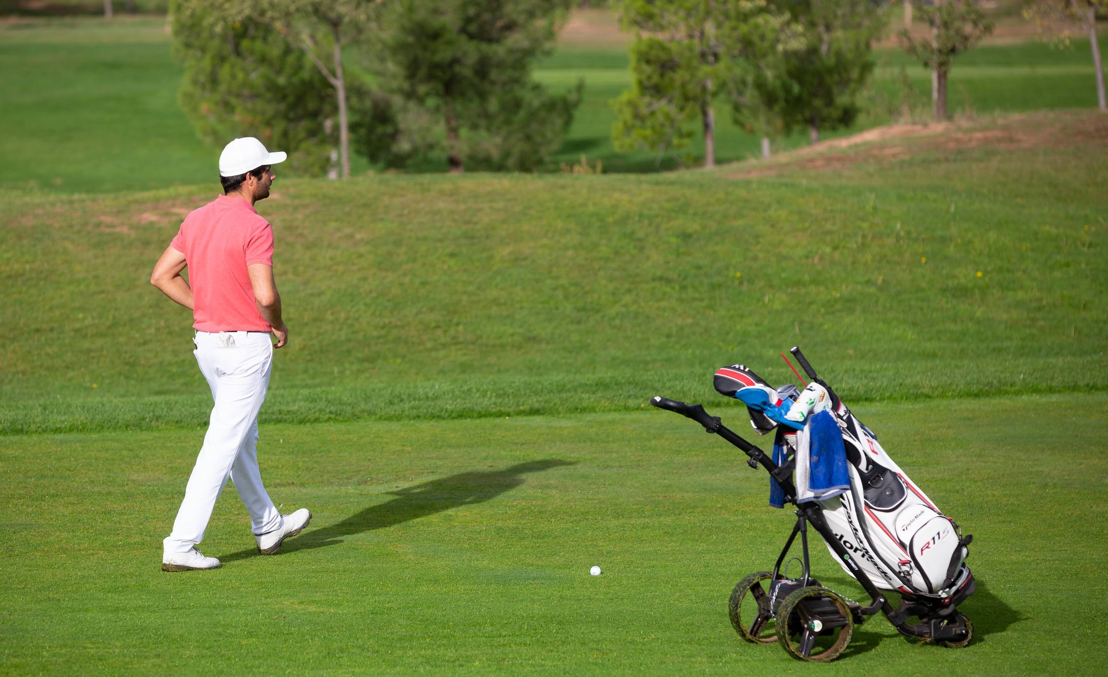 La cita se está celebrando en las instalaciones de El Campo de Logroño. 