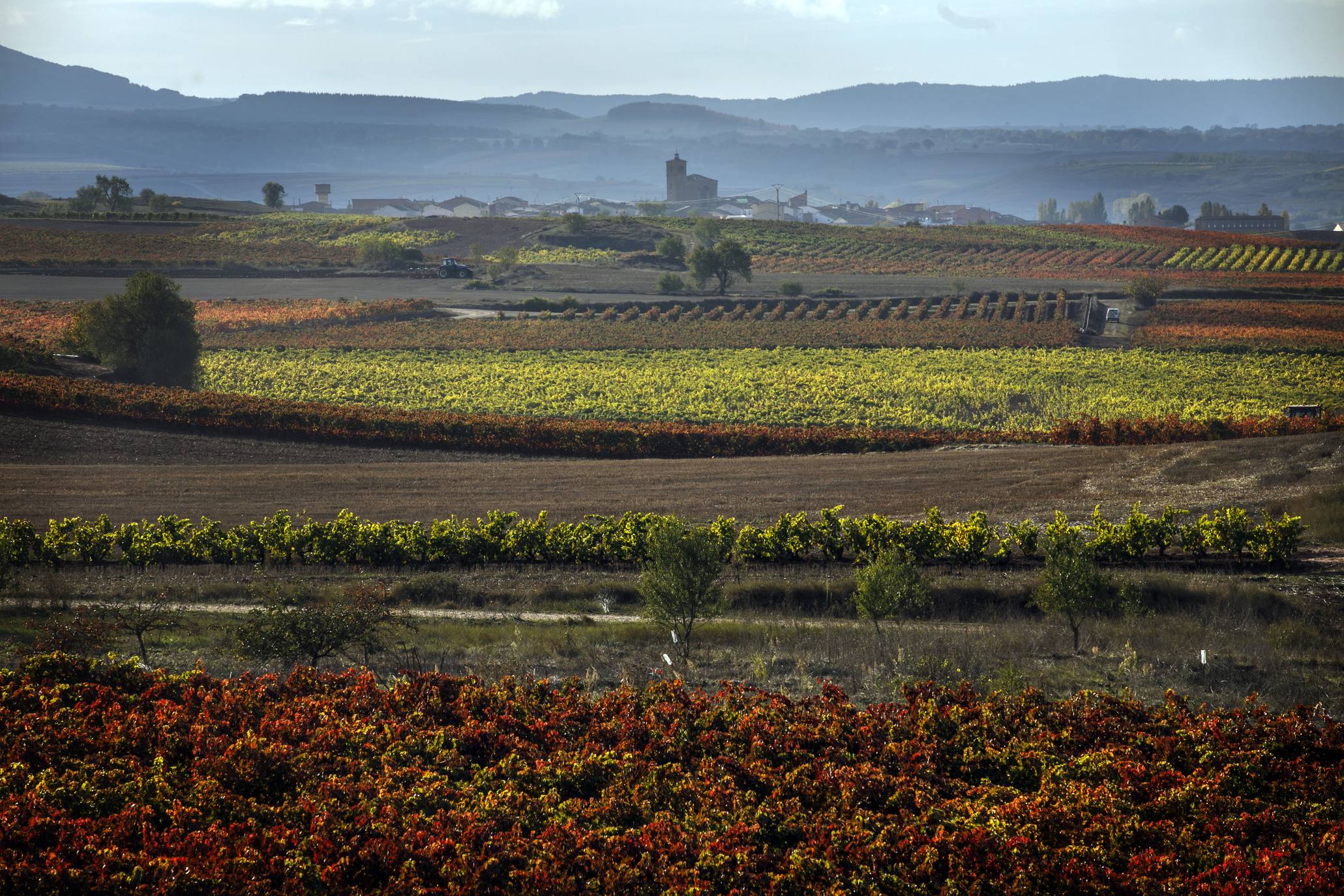 Gran variedad de colores en los viñedos de la región.