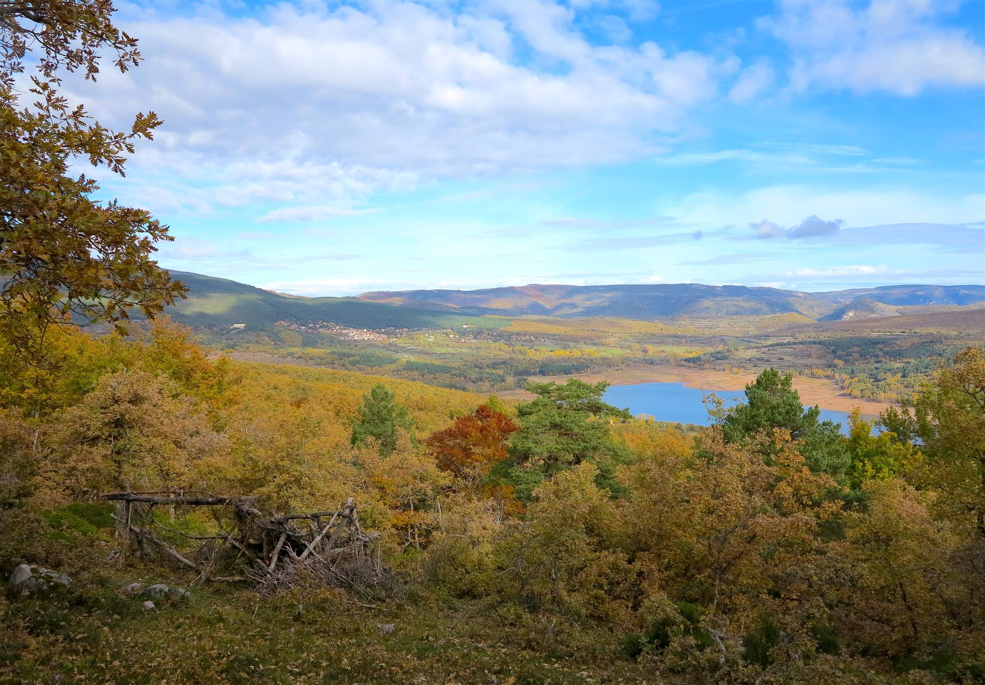 Con el temporal arreciando, el otoño da sus últimos suspiros en los Cameros riojanos dejando como testimonio bonitas estampas de bosques encendidos en llamativos colores. Un lujo para el paseo y la fotografía