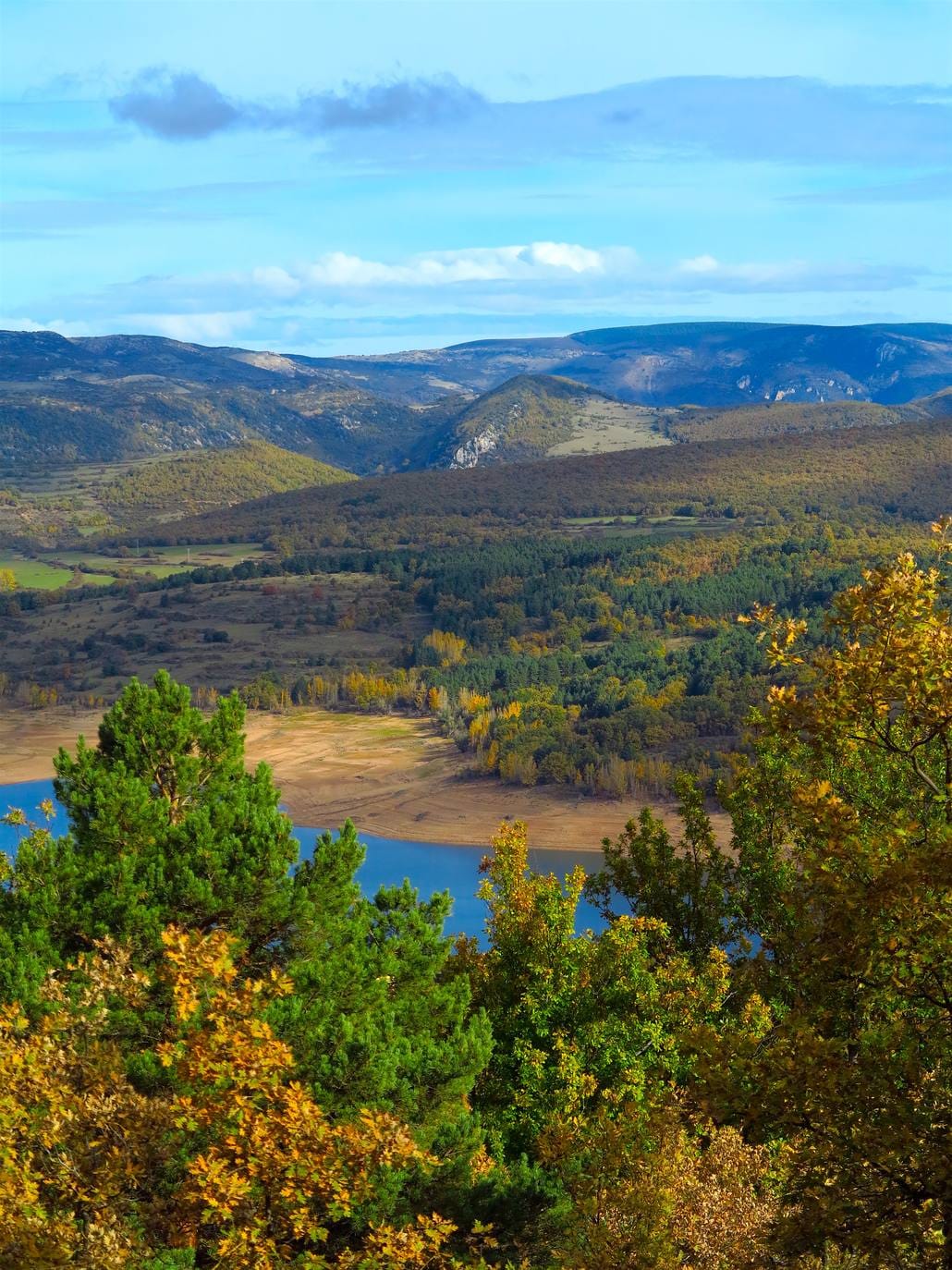 Con el temporal arreciando, el otoño da sus últimos suspiros en los Cameros riojanos dejando como testimonio bonitas estampas de bosques encendidos en llamativos colores. Un lujo para el paseo y la fotografía