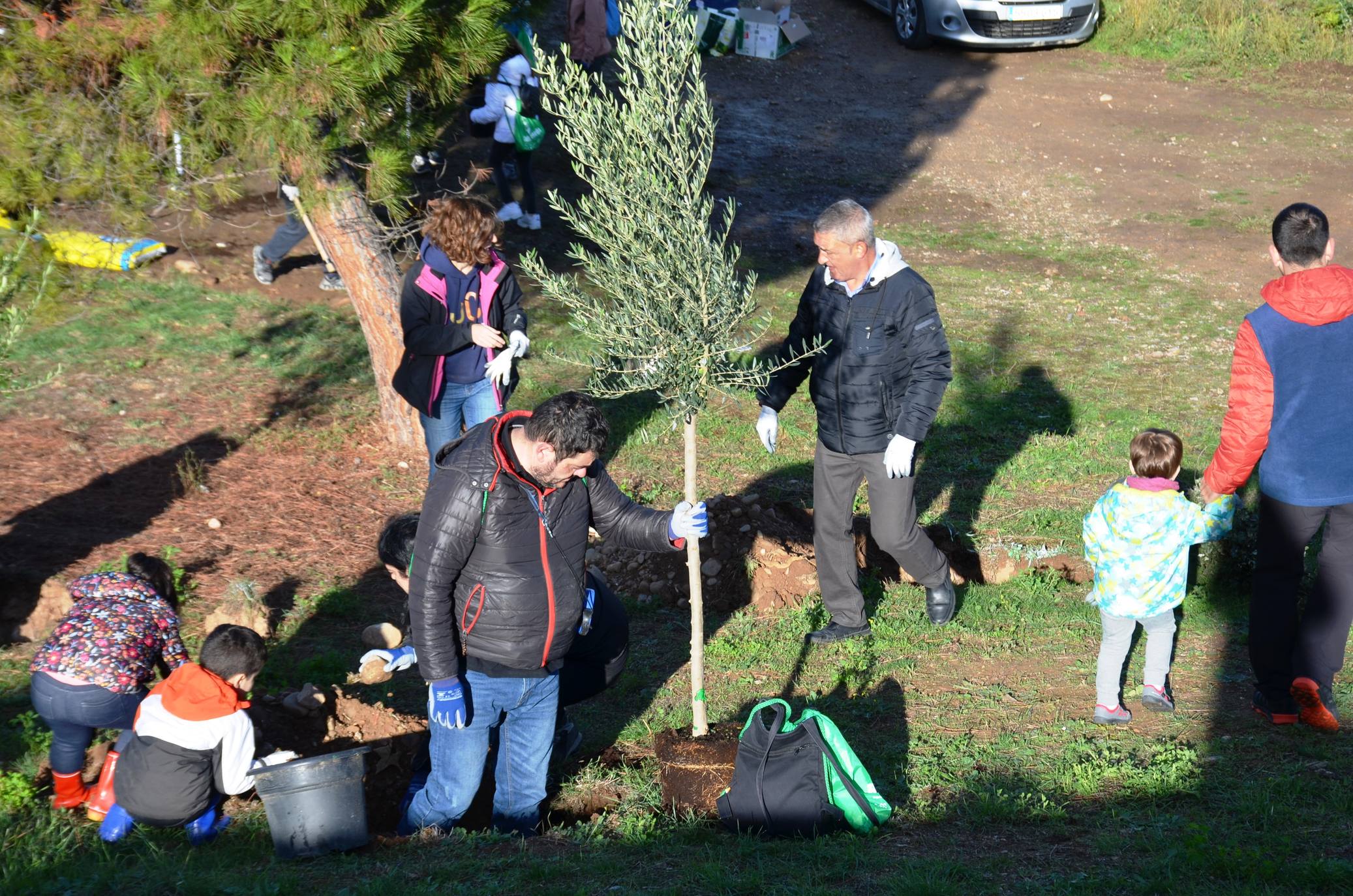 Numerosos grupos de amigos y familias plantaron los árboles en una ladera de la carretera de Murillo