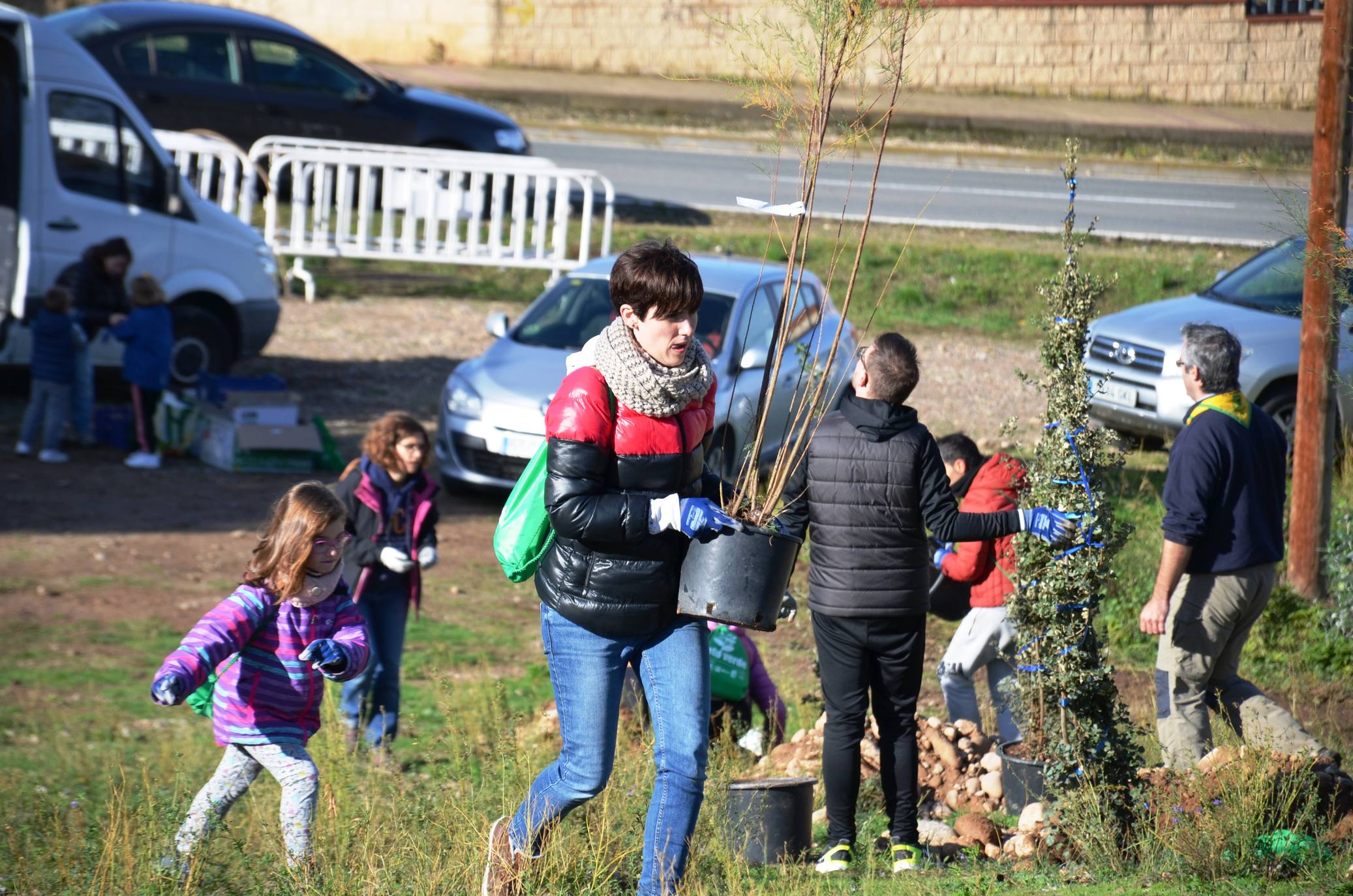 Numerosos grupos de amigos y familias plantaron los árboles en una ladera de la carretera de Murillo