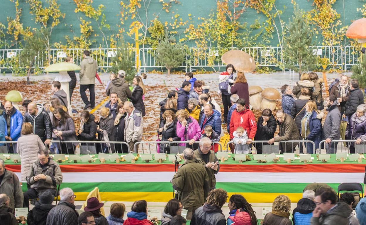 Miles de personas visitaron la exposición, que, debido a la lluvia, tuvo que alojarse en el polideportivo municipal San Lorenzo.