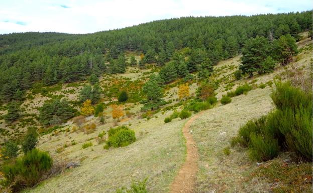 Sendero GR 190 entre Villoslada y Peña Hincada 