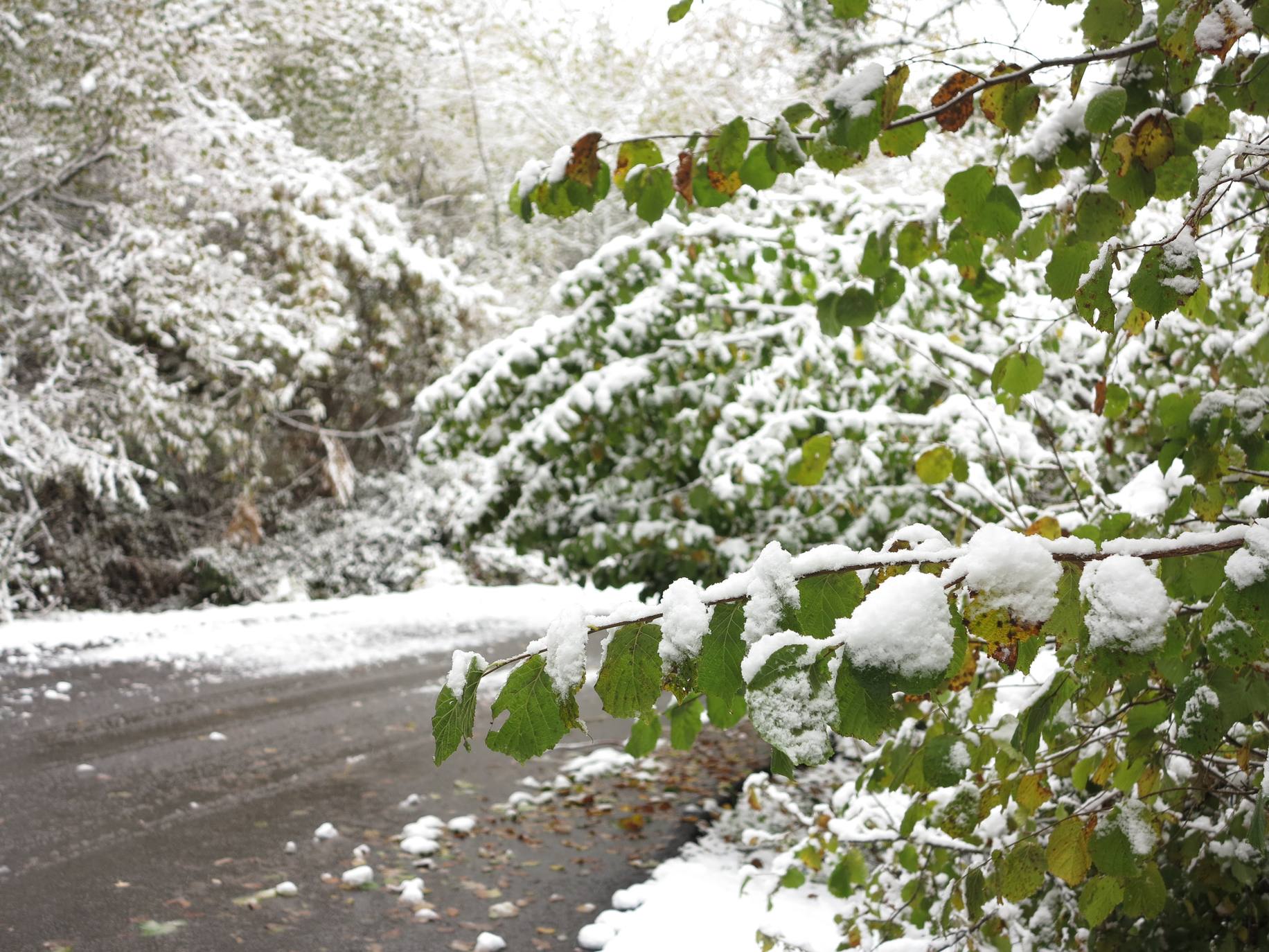 Fotos: Nieve en El Rasillo