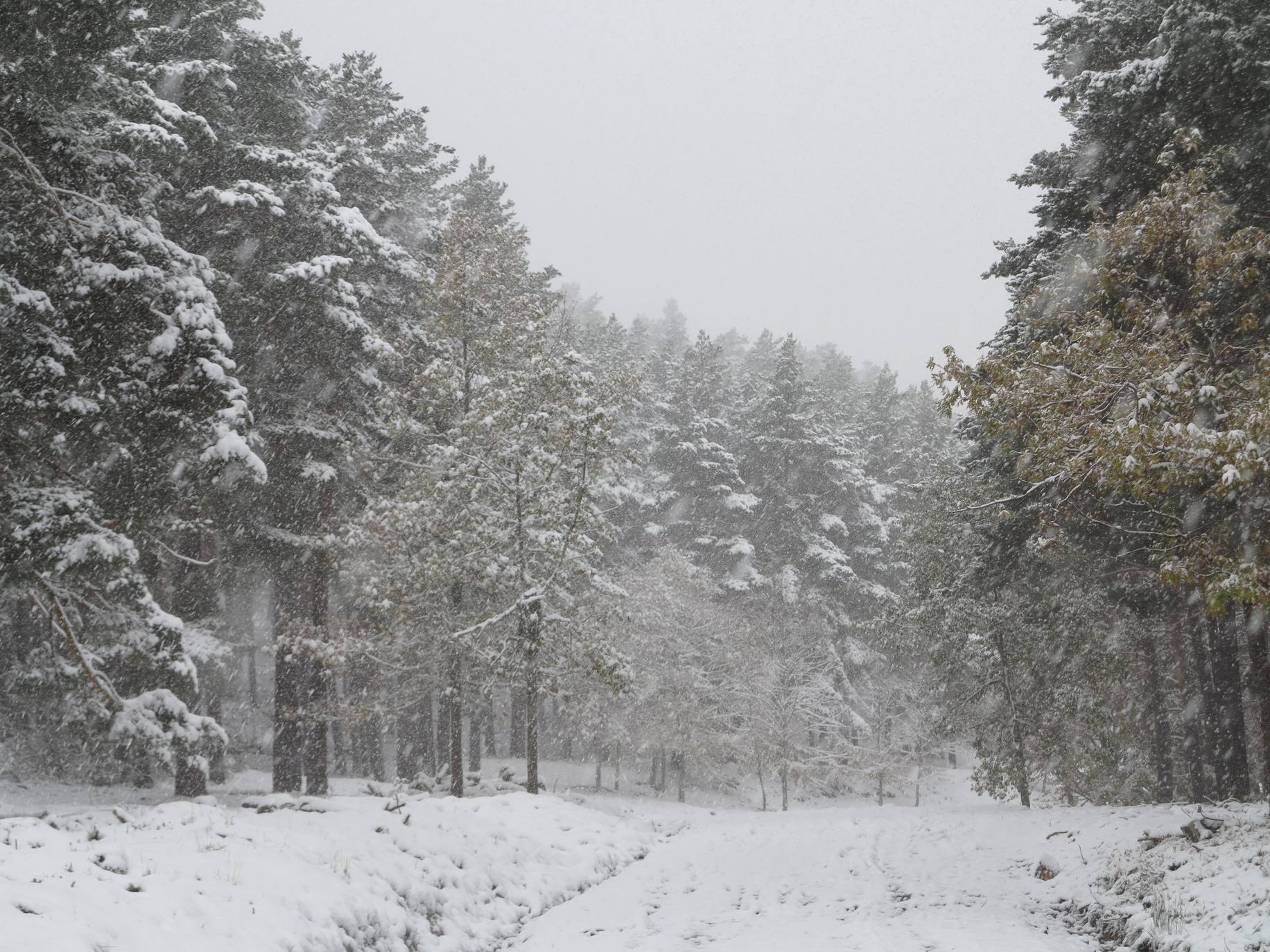 Fotos: Nieve en El Rasillo