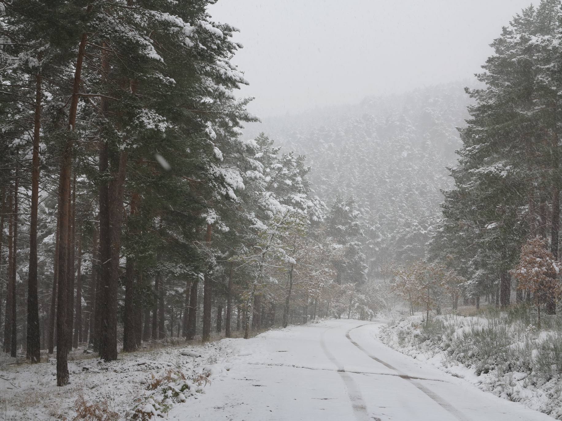 Fotos: Nieve en El Rasillo