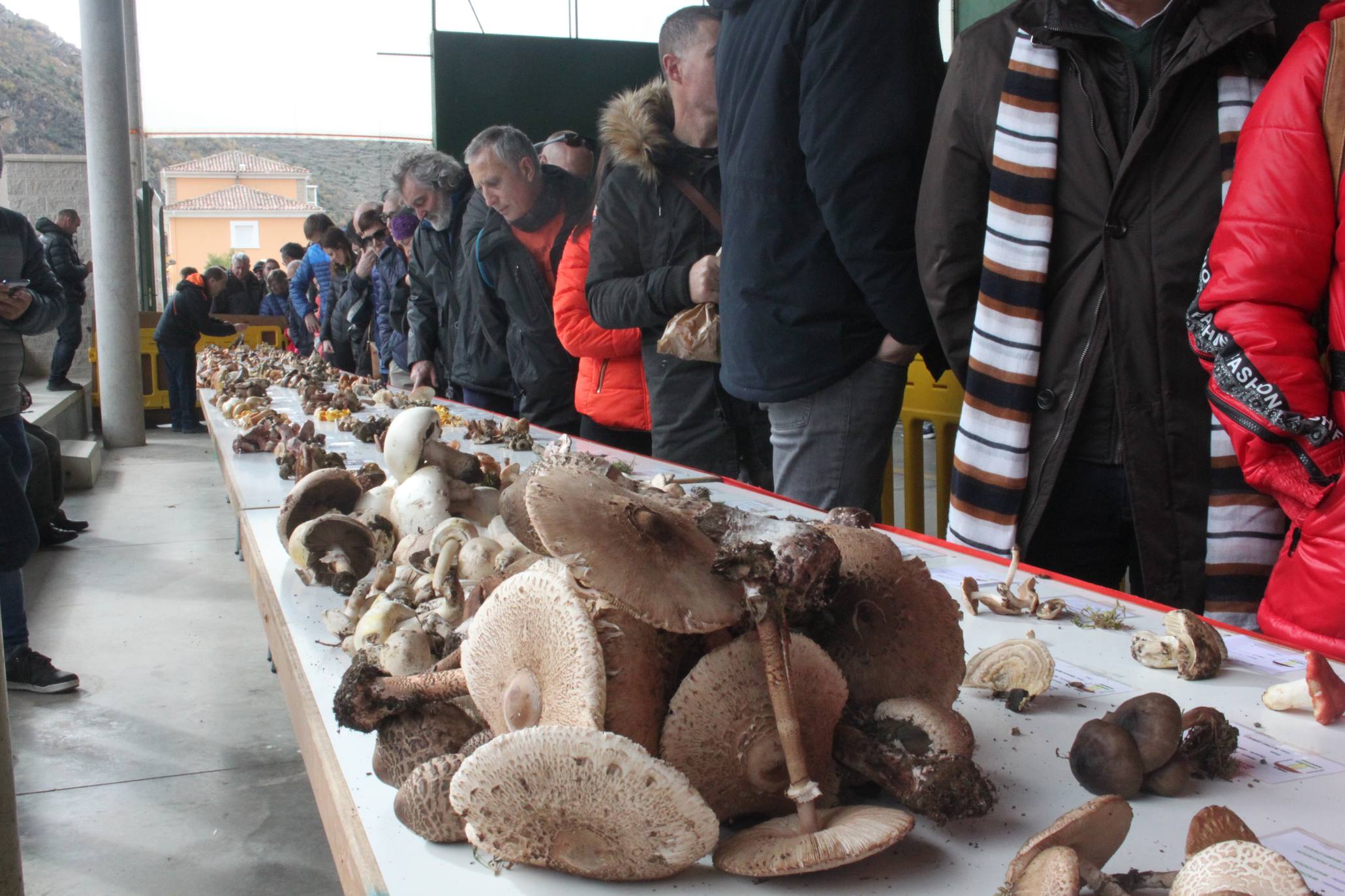Cientos de personas se han acercado a la localidad riojabajeña. 