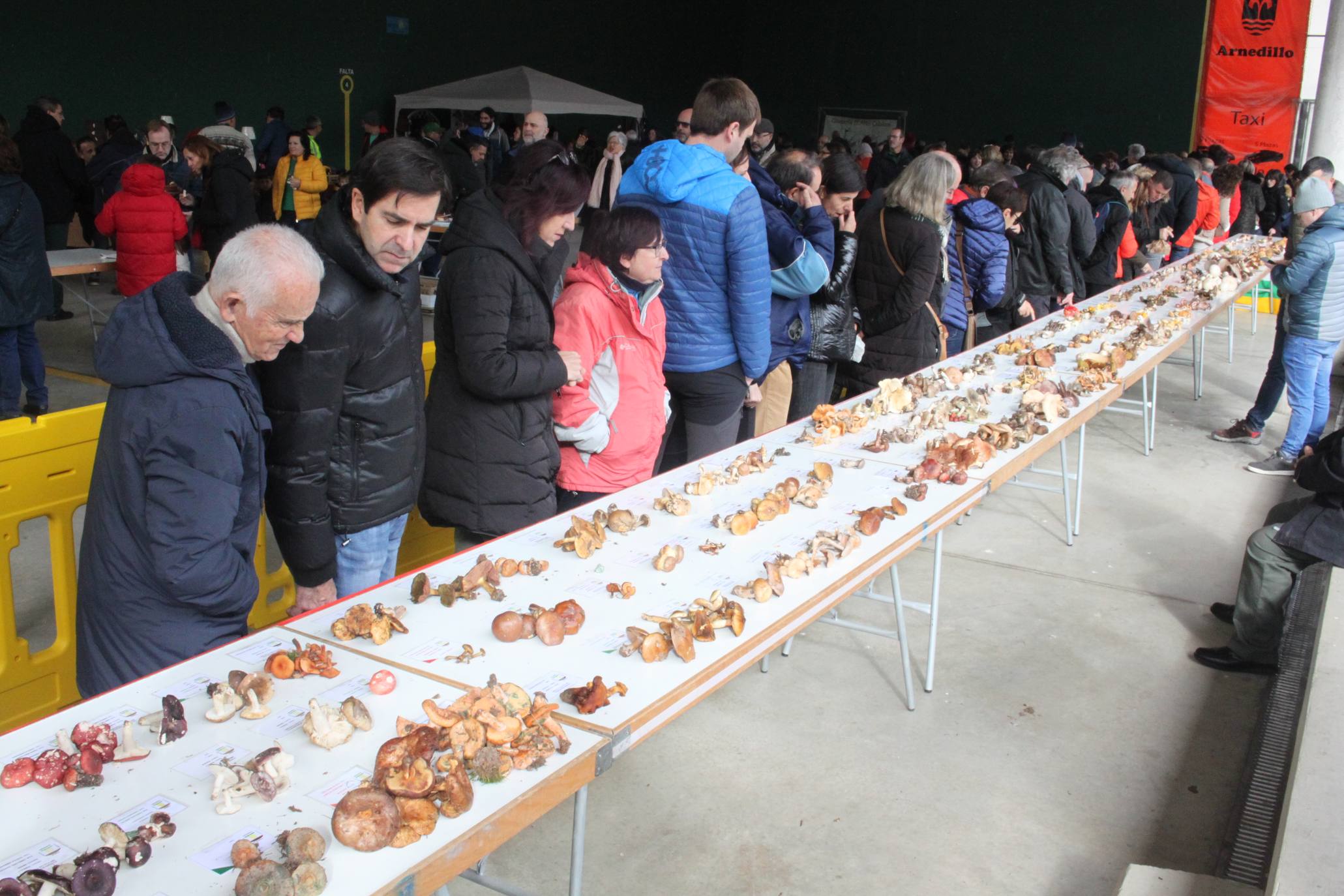 Cientos de personas se han acercado a la localidad riojabajeña. 
