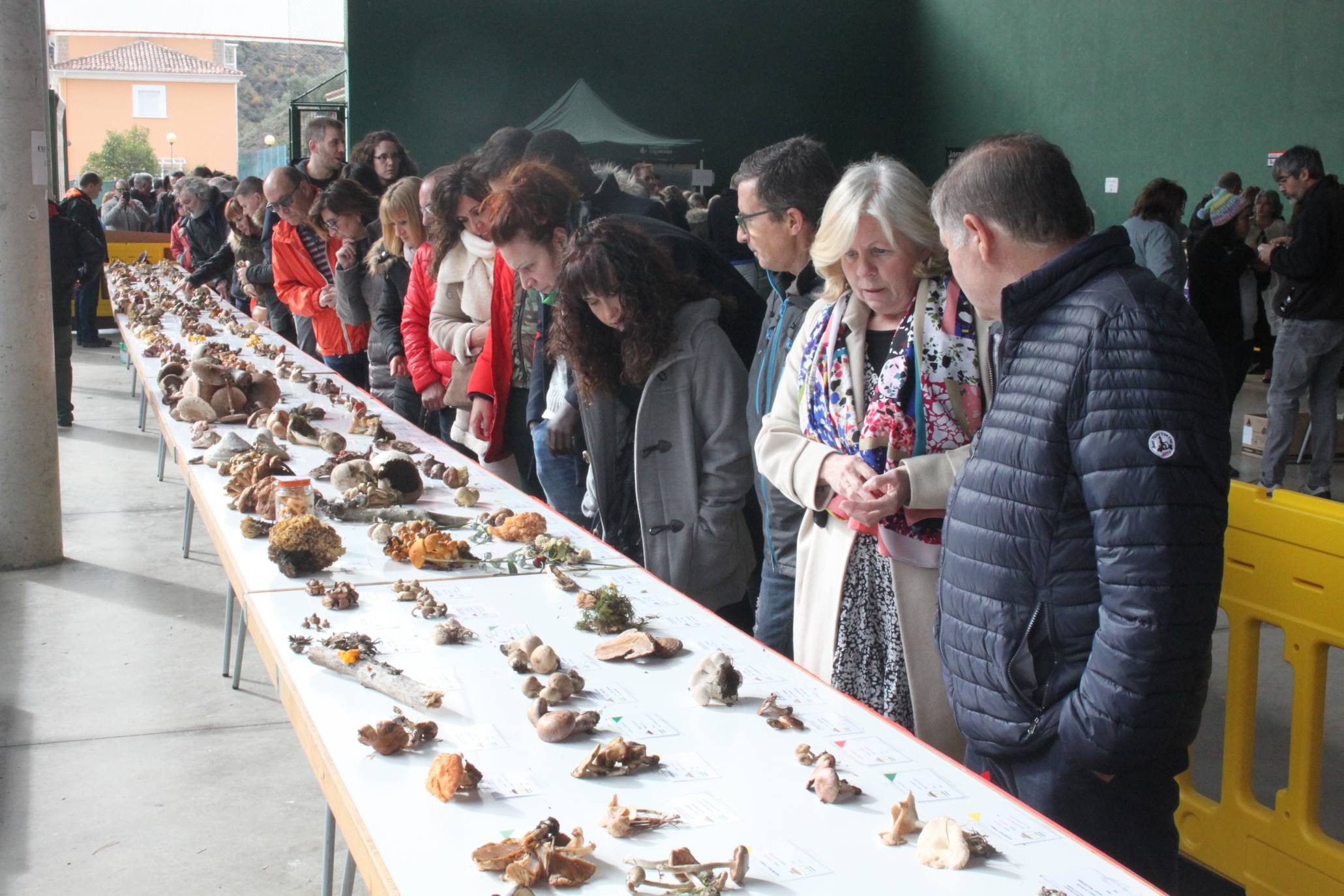 Cientos de personas se han acercado a la localidad riojabajeña. 