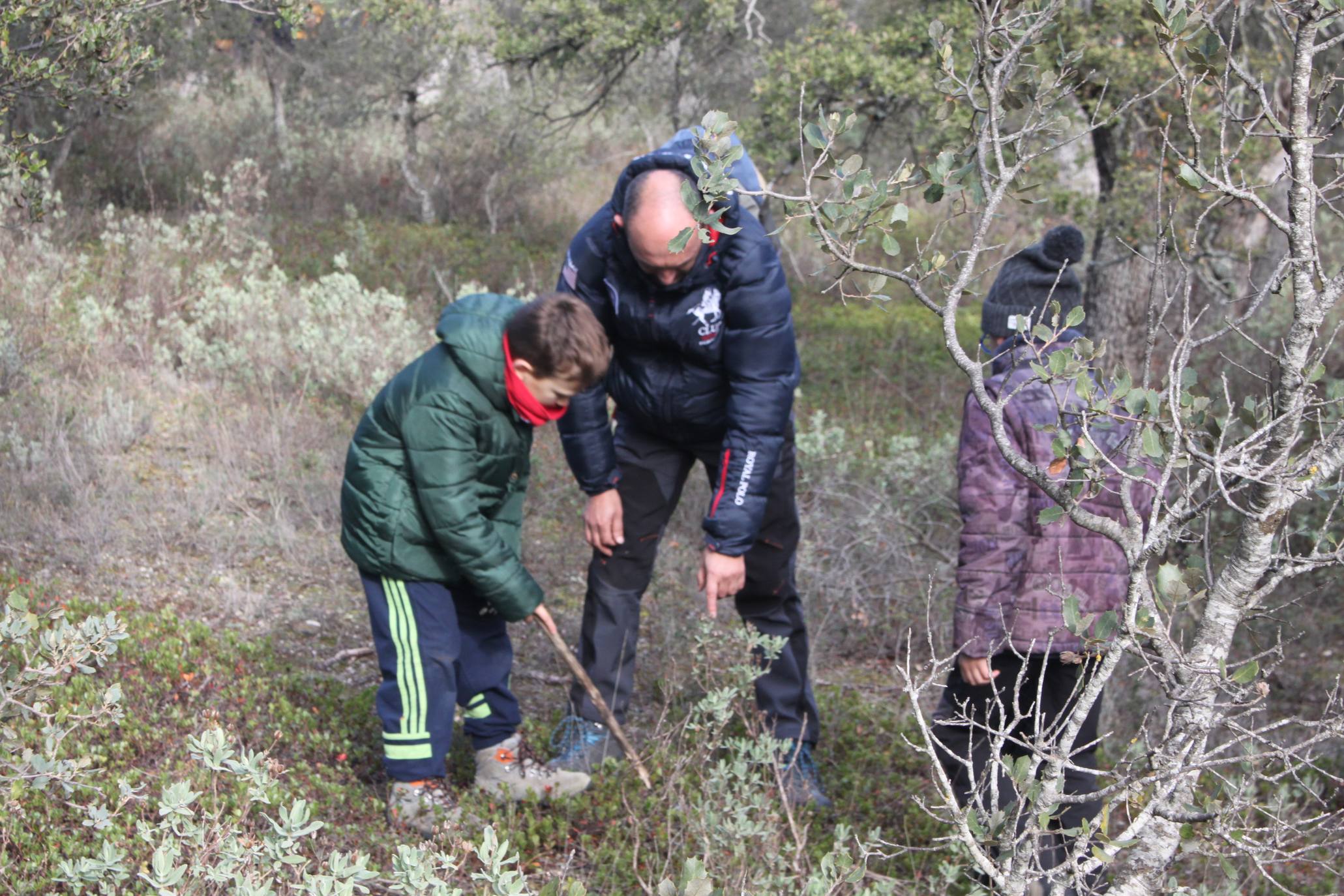 La localidad salió a buscar setas y aprender sobre ellas