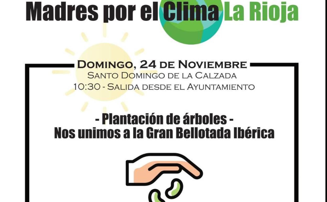 'Madres por el clima' organiza una plantación de bellotas en Santo Domingo