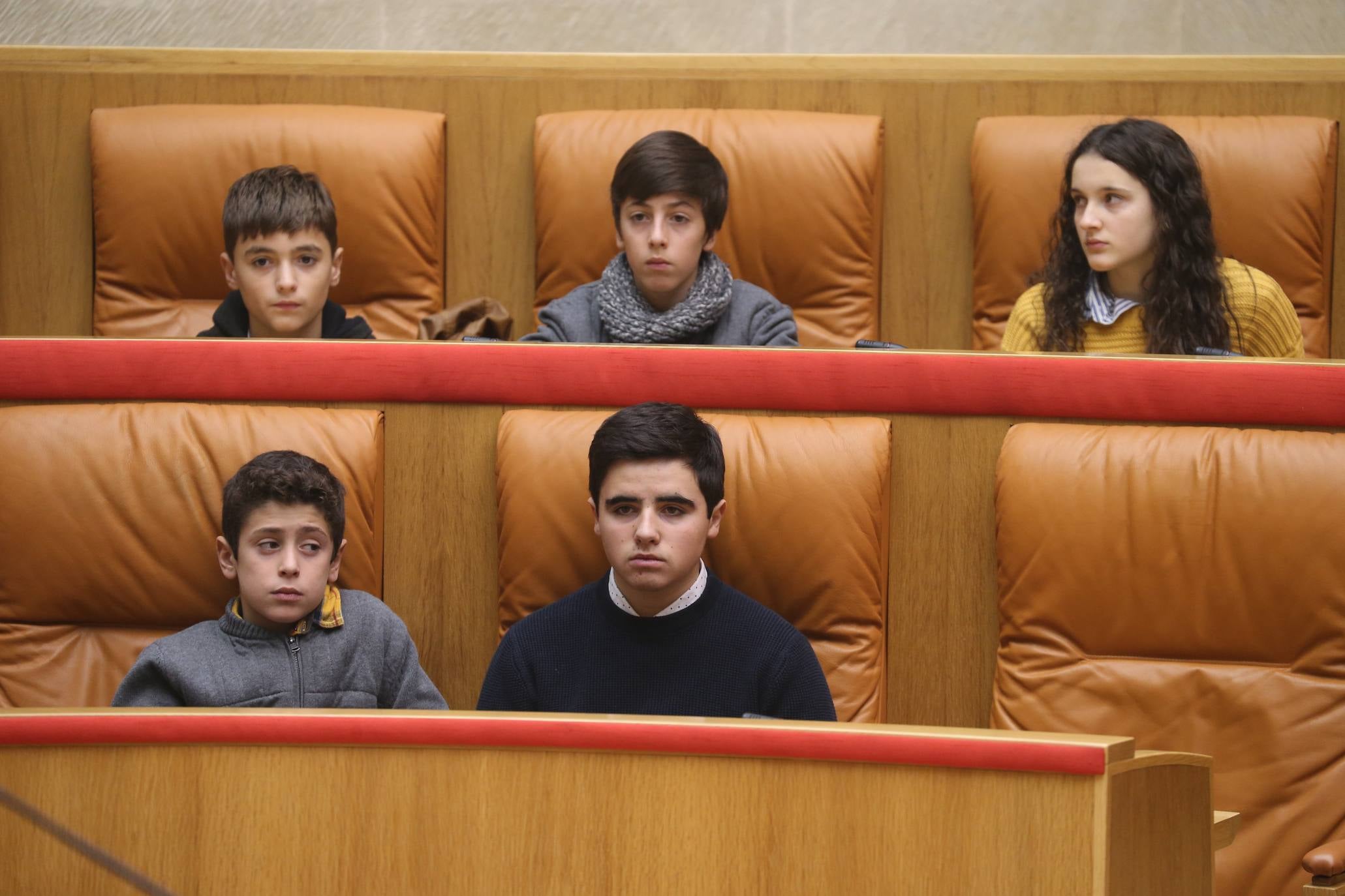 El Parlamento acogió la lectura del Manifiesto con motivo del 30º Aniversario de la Convención sobre los Derechos del Niño por parte del Comité de Unicef en La Rioja.