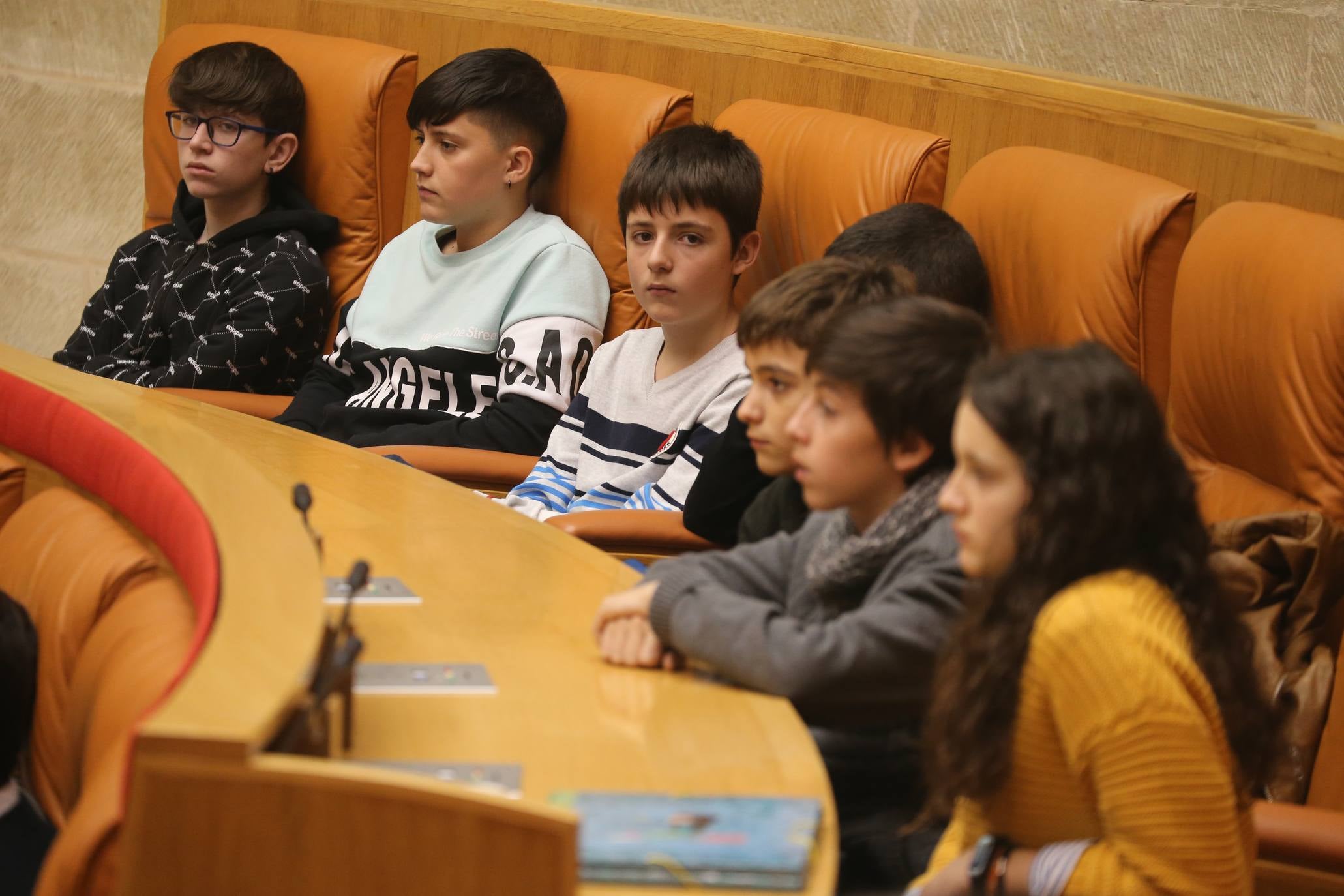 El Parlamento acogió la lectura del Manifiesto con motivo del 30º Aniversario de la Convención sobre los Derechos del Niño por parte del Comité de Unicef en La Rioja.