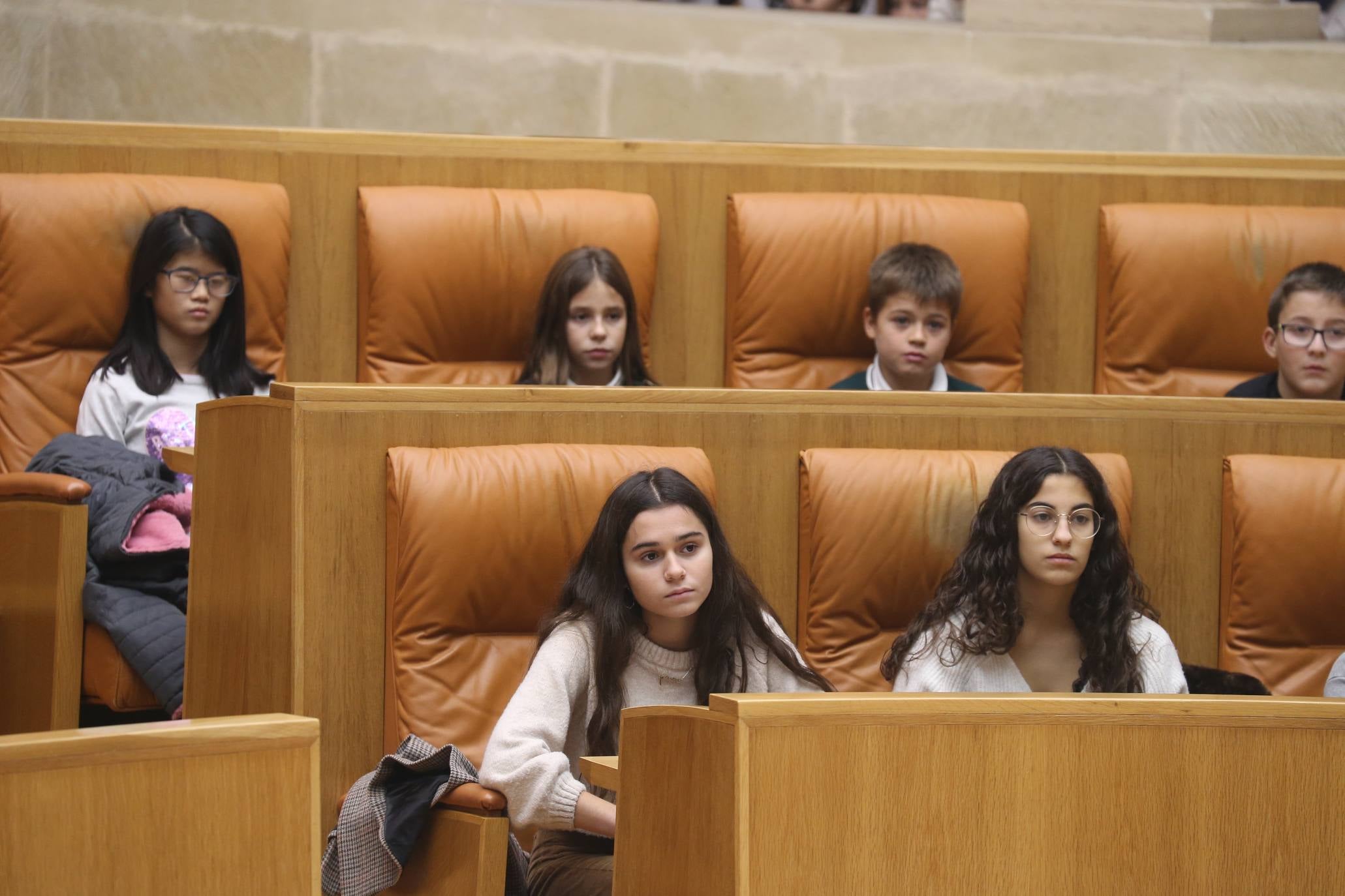 El Parlamento acogió la lectura del Manifiesto con motivo del 30º Aniversario de la Convención sobre los Derechos del Niño por parte del Comité de Unicef en La Rioja.