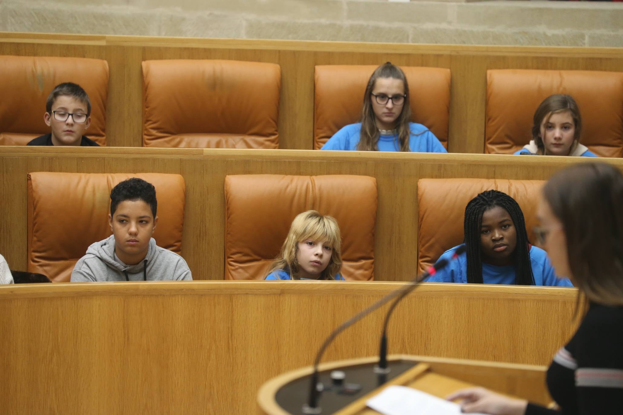 El Parlamento acogió la lectura del Manifiesto con motivo del 30º Aniversario de la Convención sobre los Derechos del Niño por parte del Comité de Unicef en La Rioja.