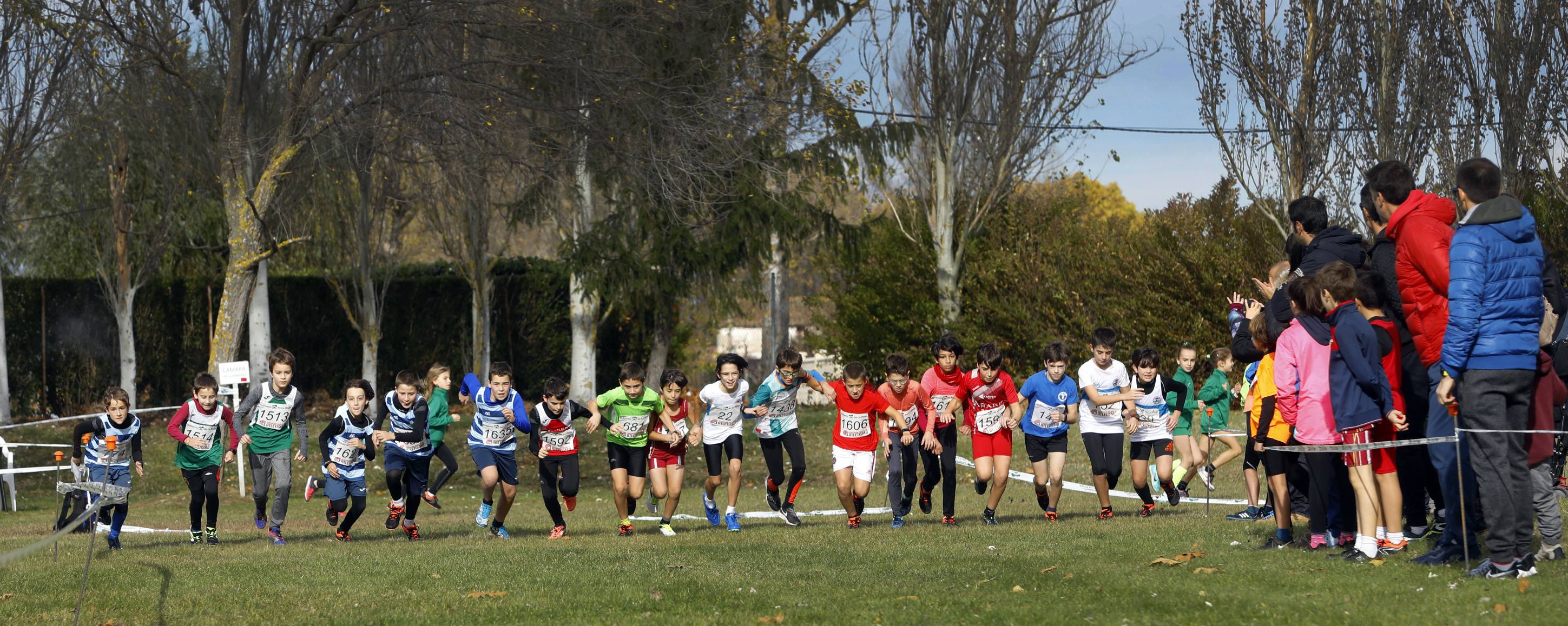 La galería de imágenes de la jornada de Cross en el municipio lo resume todo: mucho ambiente, risas y ejercicio físico en un día muy especial para todos los pequeños guerreros