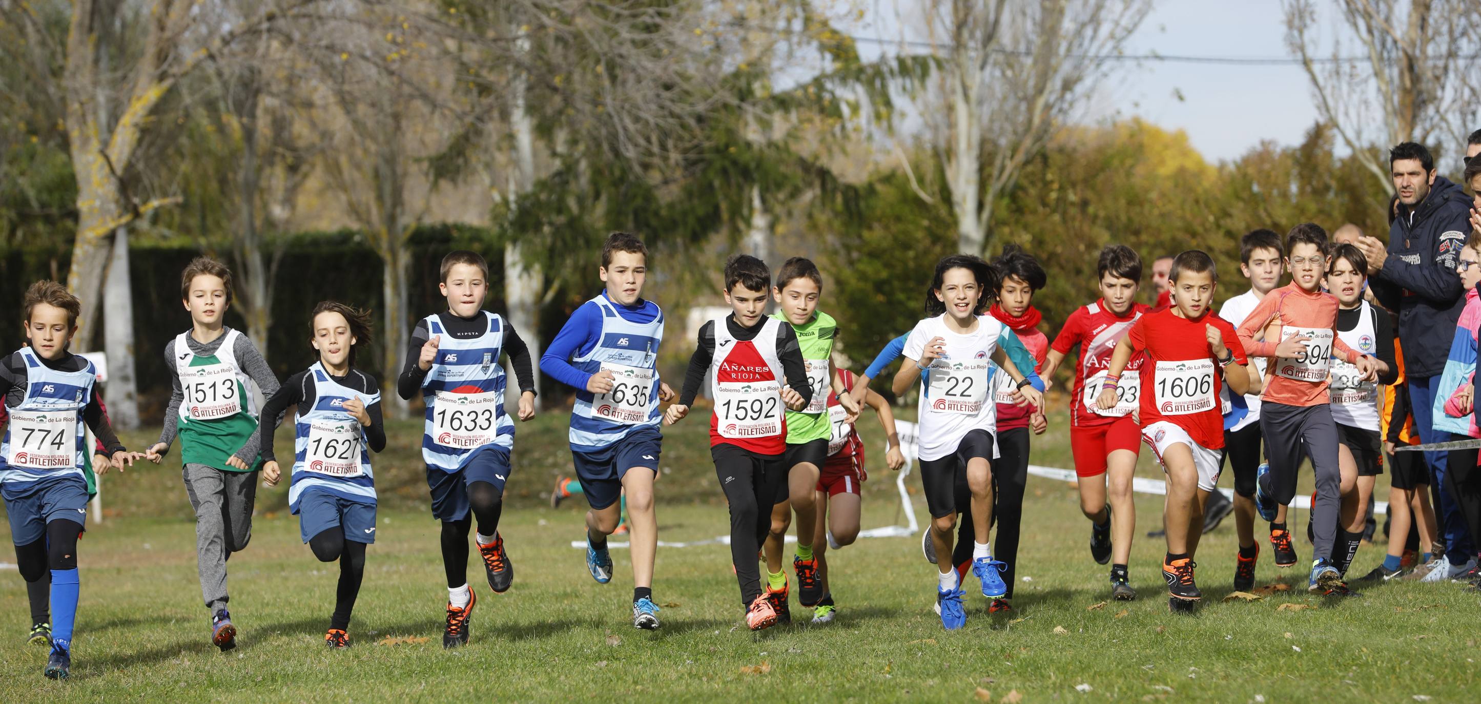 La galería de imágenes de la jornada de Cross en el municipio lo resume todo: mucho ambiente, risas y ejercicio físico en un día muy especial para todos los pequeños guerreros