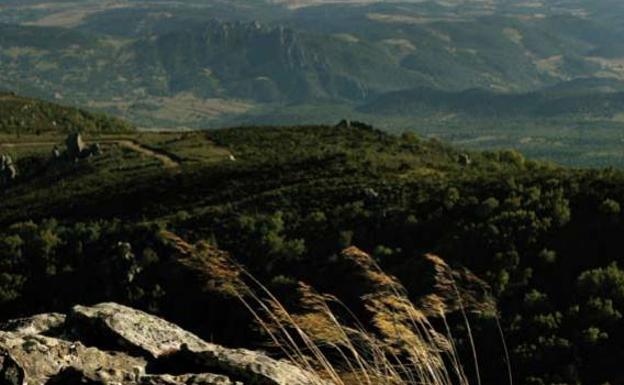 Parque Natural de los Alcornocales, Cádiz