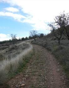 Imagen secundaria 2 - Ermita de la Virgen de la Antigua, en Alberite, y camino de subida hacia Clavijo