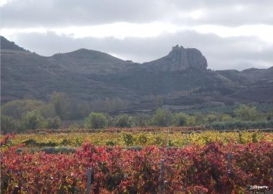 Imagen secundaria 1 - Ermita de Santa Fe de Palazuelos, vista de Clavijo e interior de la ermita 