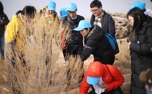 Voutarios plantan árboles en China. 