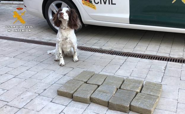 Imagen principal - Cae en Logroño una red de narcos que abastecía a La Rioja desde Punta Umbría