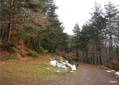 Imagen secundaria 1 - Ermita de San Mamés, camino en el Achondite y pista nevada de Cerrauco