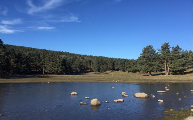 Vista de la laguna de La Nava y su entorno de pinares